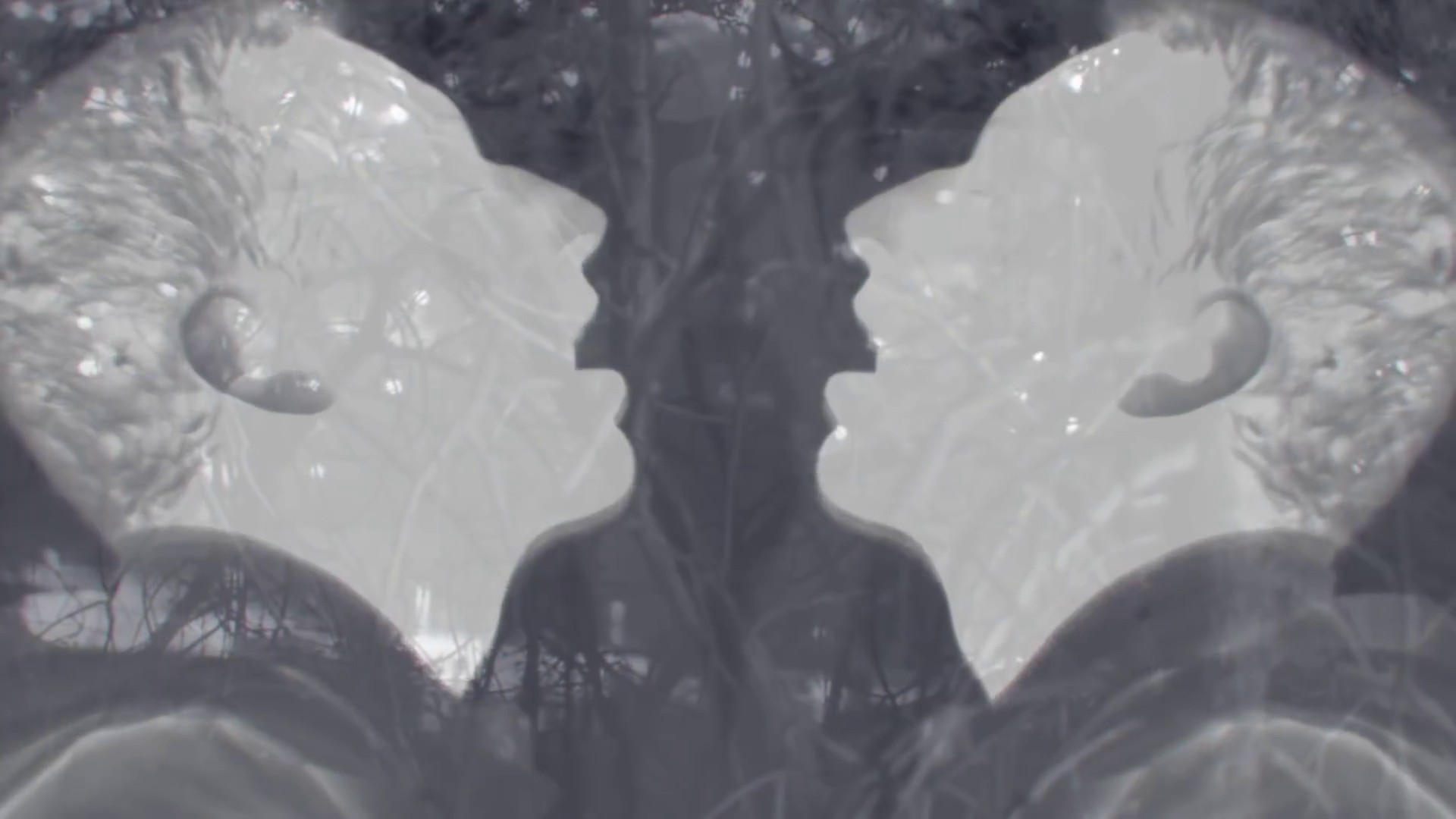 Midnight (2014) —  shot,  lighting