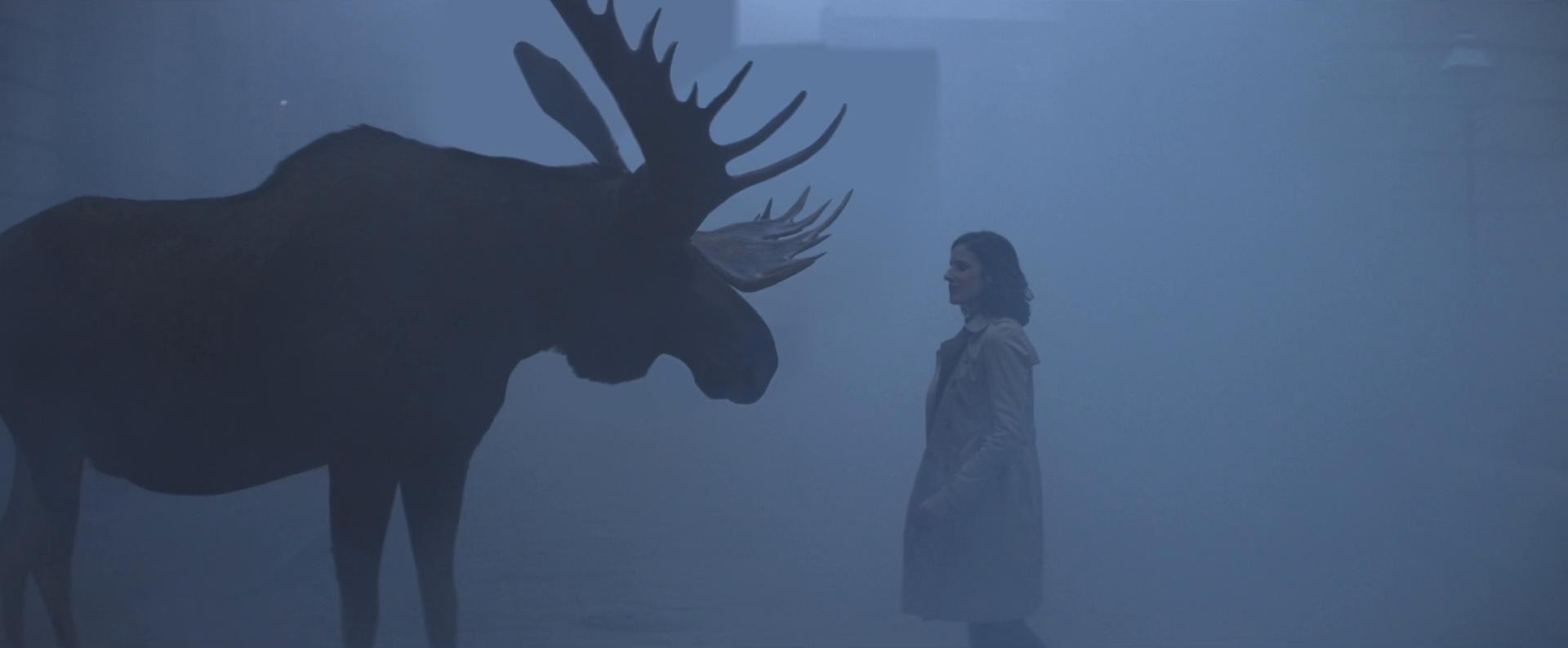 IG - Air Transat Moose (2017) —  shot,  lighting