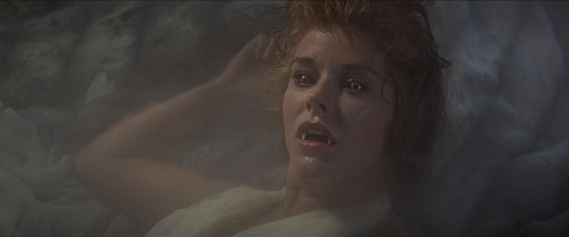 Fright Night (1985) —  shot,  lighting