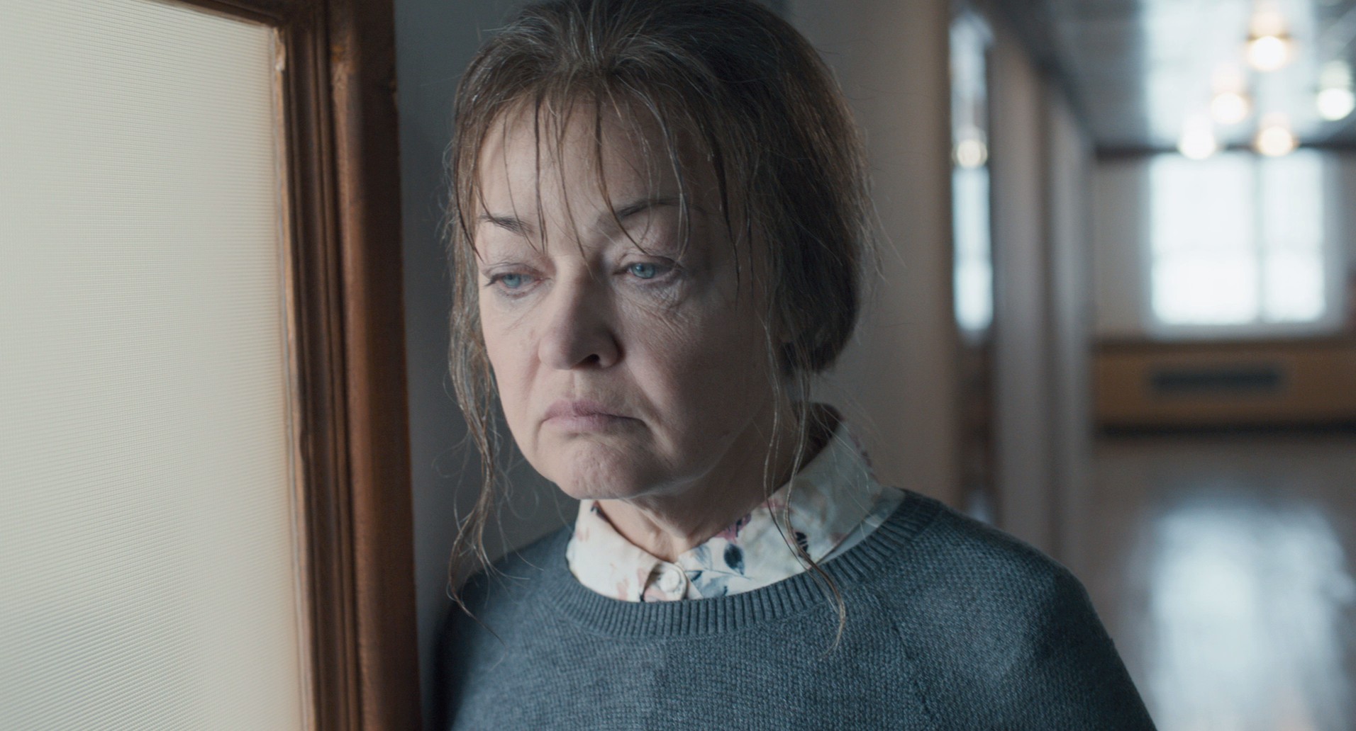 Zoology (2016) —  shot,  lighting