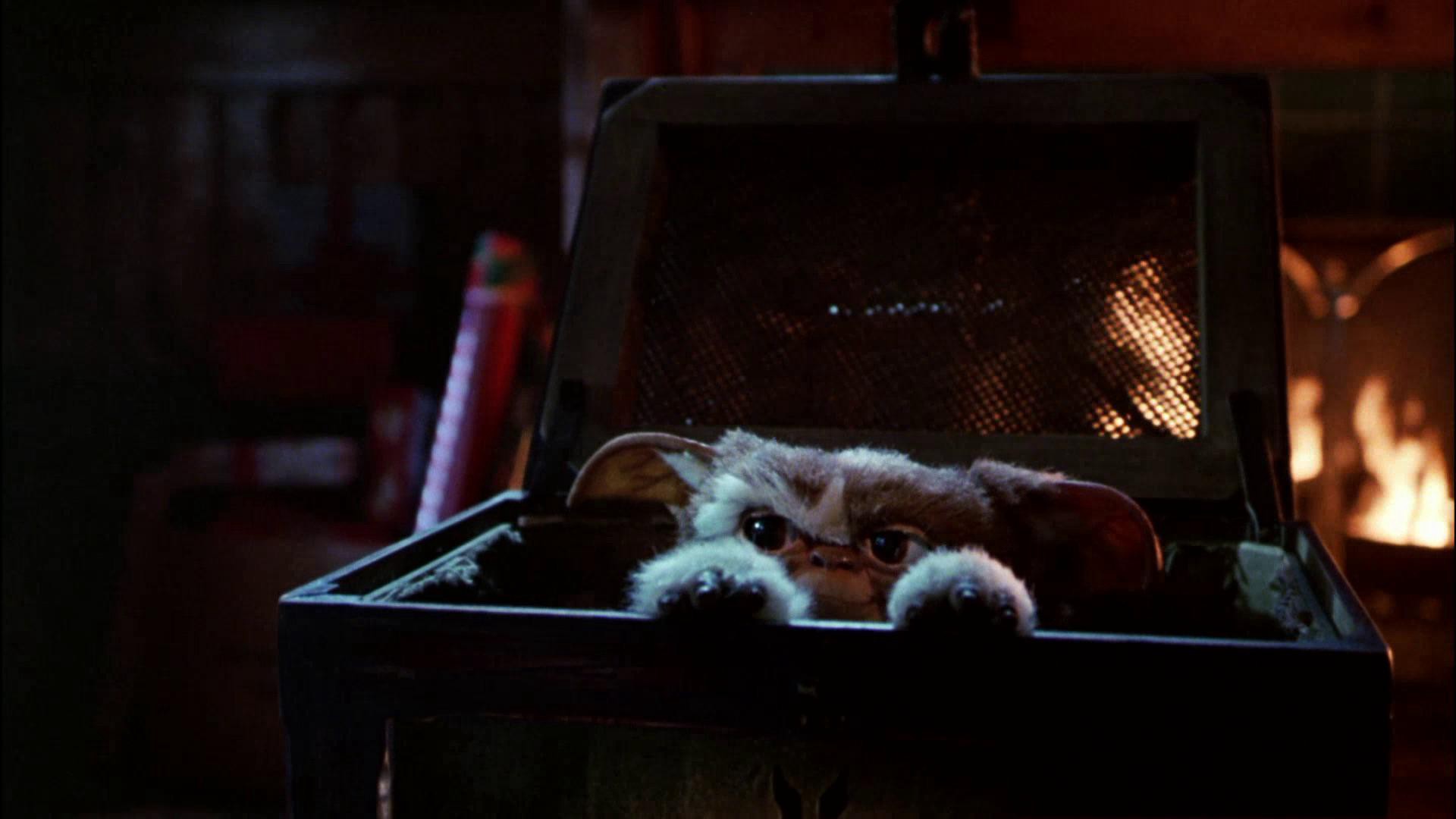 Gremlins (1984) —  shot,  lighting
