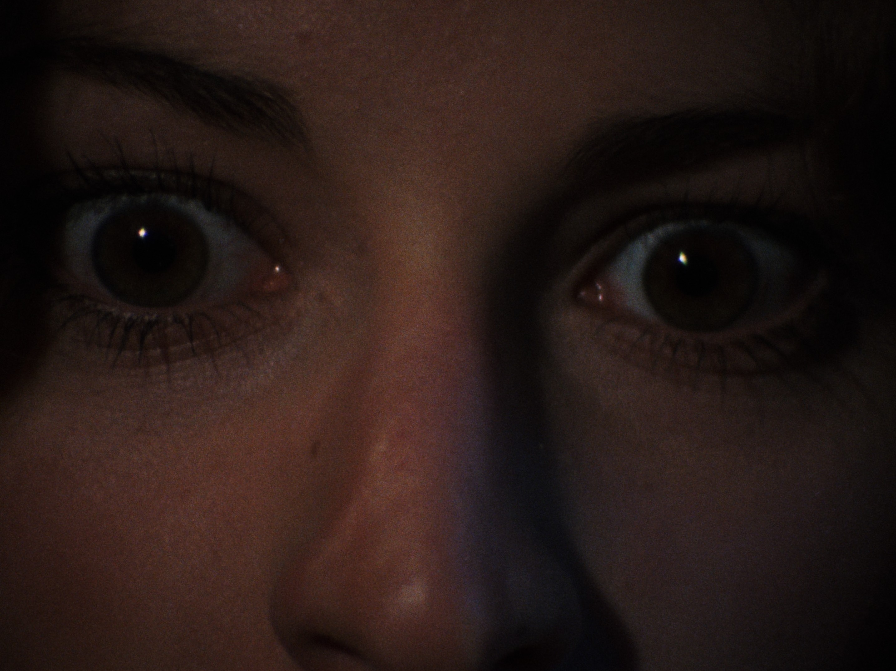 The Evil Dead (1981) —  shot,  lighting