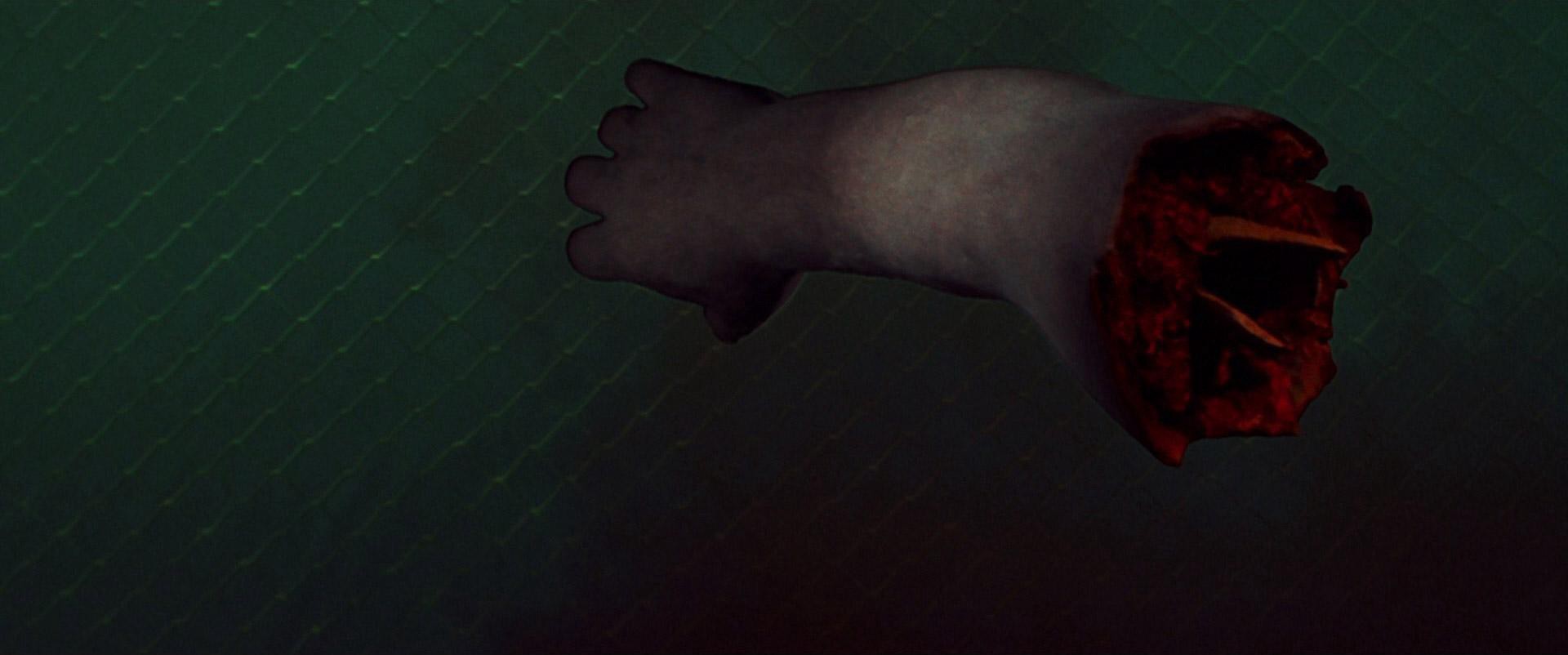 Jaws 3-D (1983) —  shot,  lighting