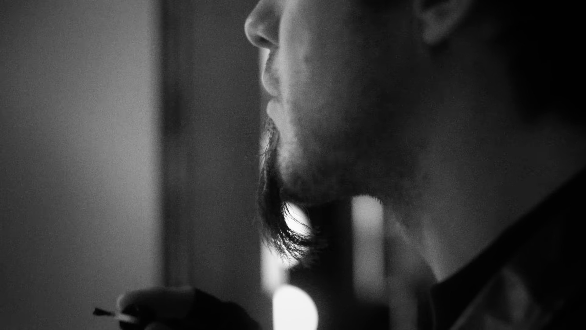 Bubblegum Dog (2023) —  shot,  lighting