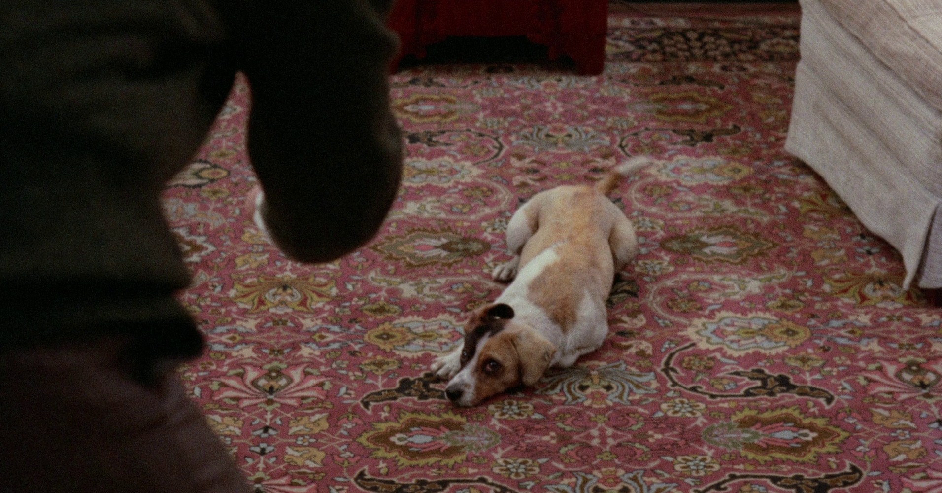 Slaughterhouse-Five (1972) —  shot,  lighting