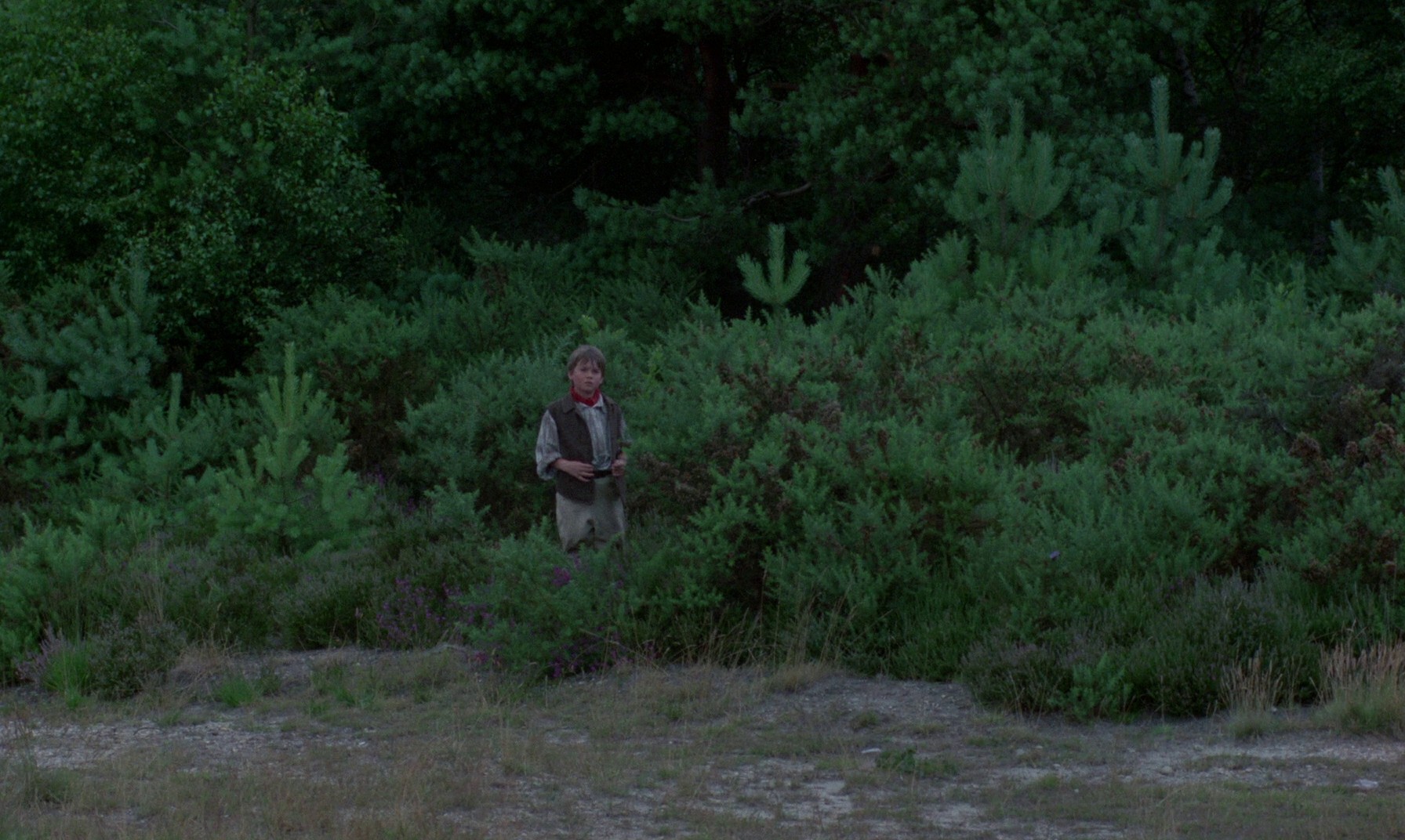 Frankenstein Created Woman (1967) —  shot,  lighting