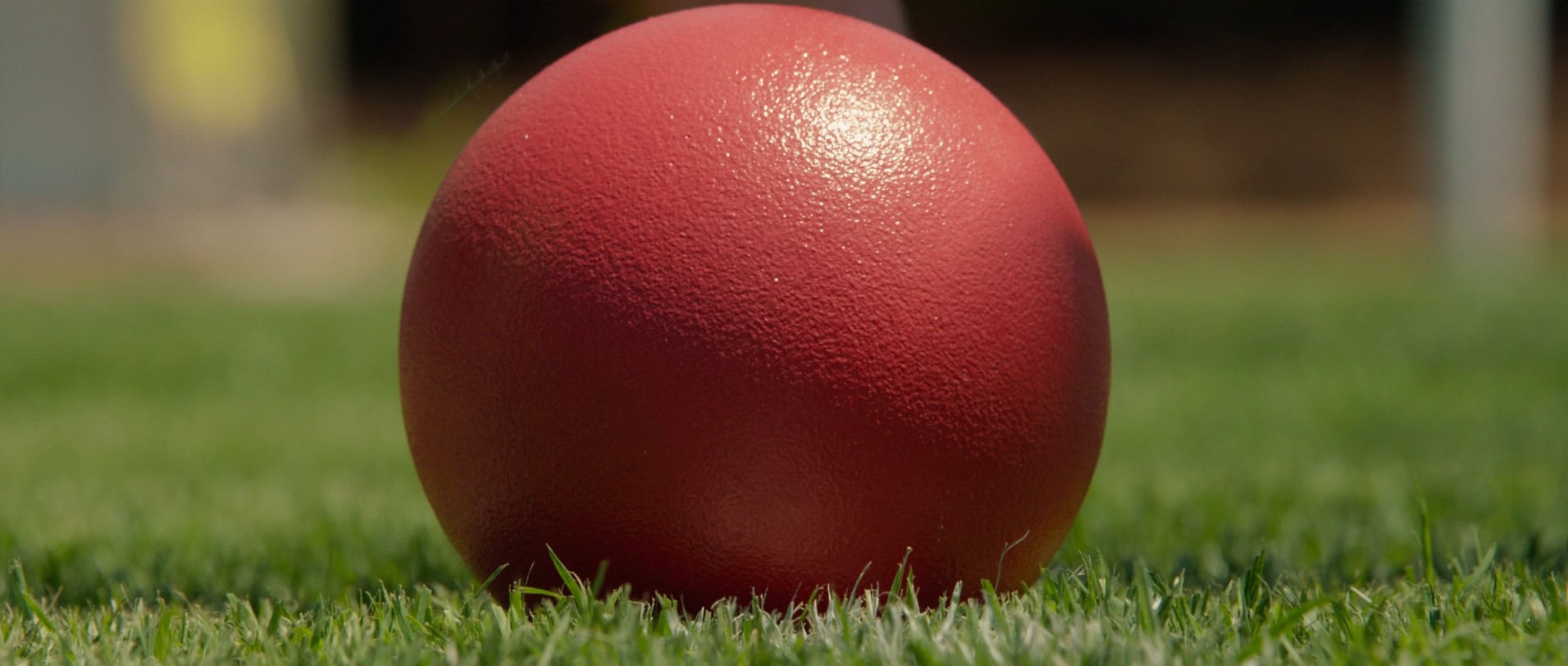 The Internship (2013) —  shot,  lighting