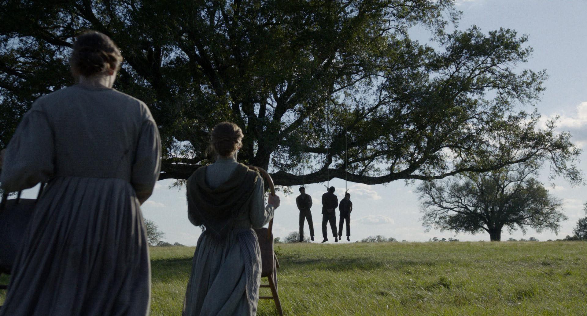 Free State of Jones (2016) —  shot,  lighting