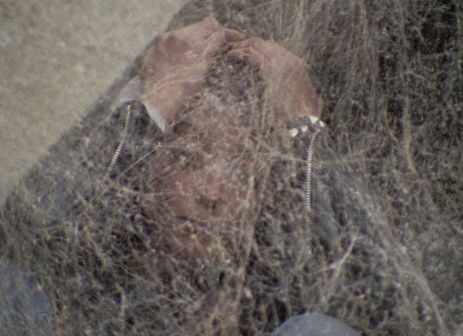 Le Pont du Nord (1981) —  shot,  lighting