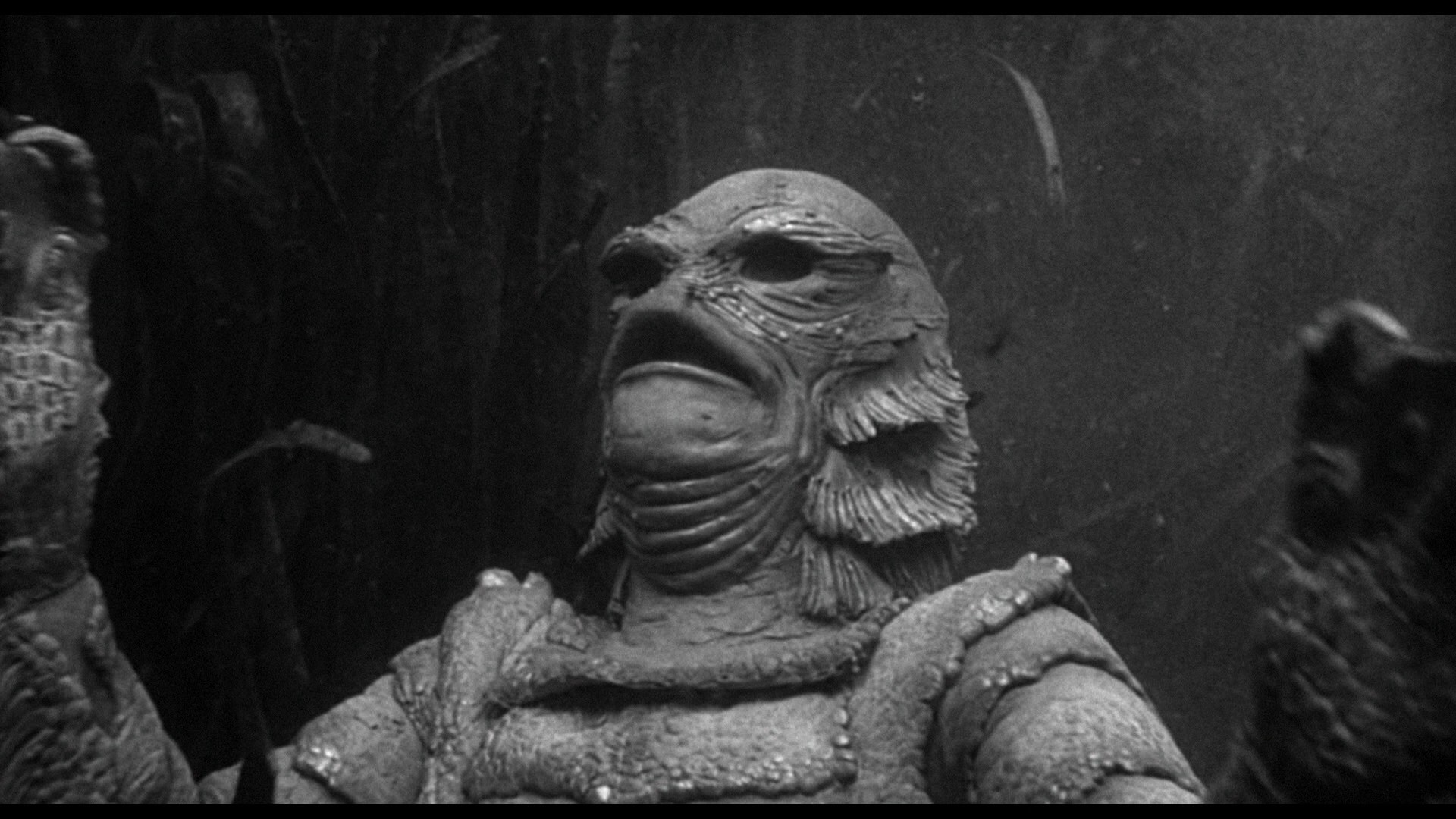 Creature from the Black Lagoon (1954) —  shot,  lighting