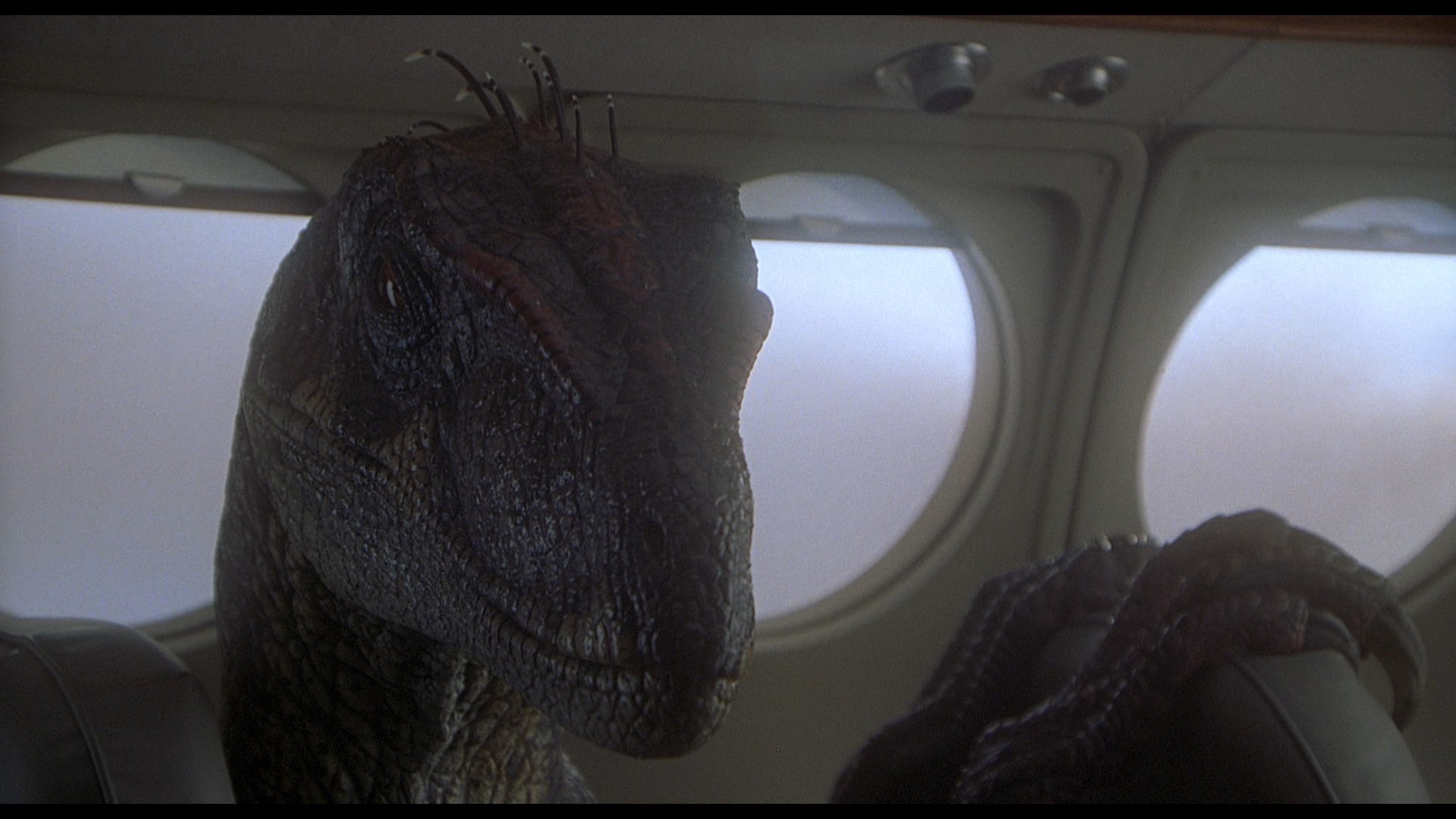 Jurassic Park III (2001) —  shot,  lighting