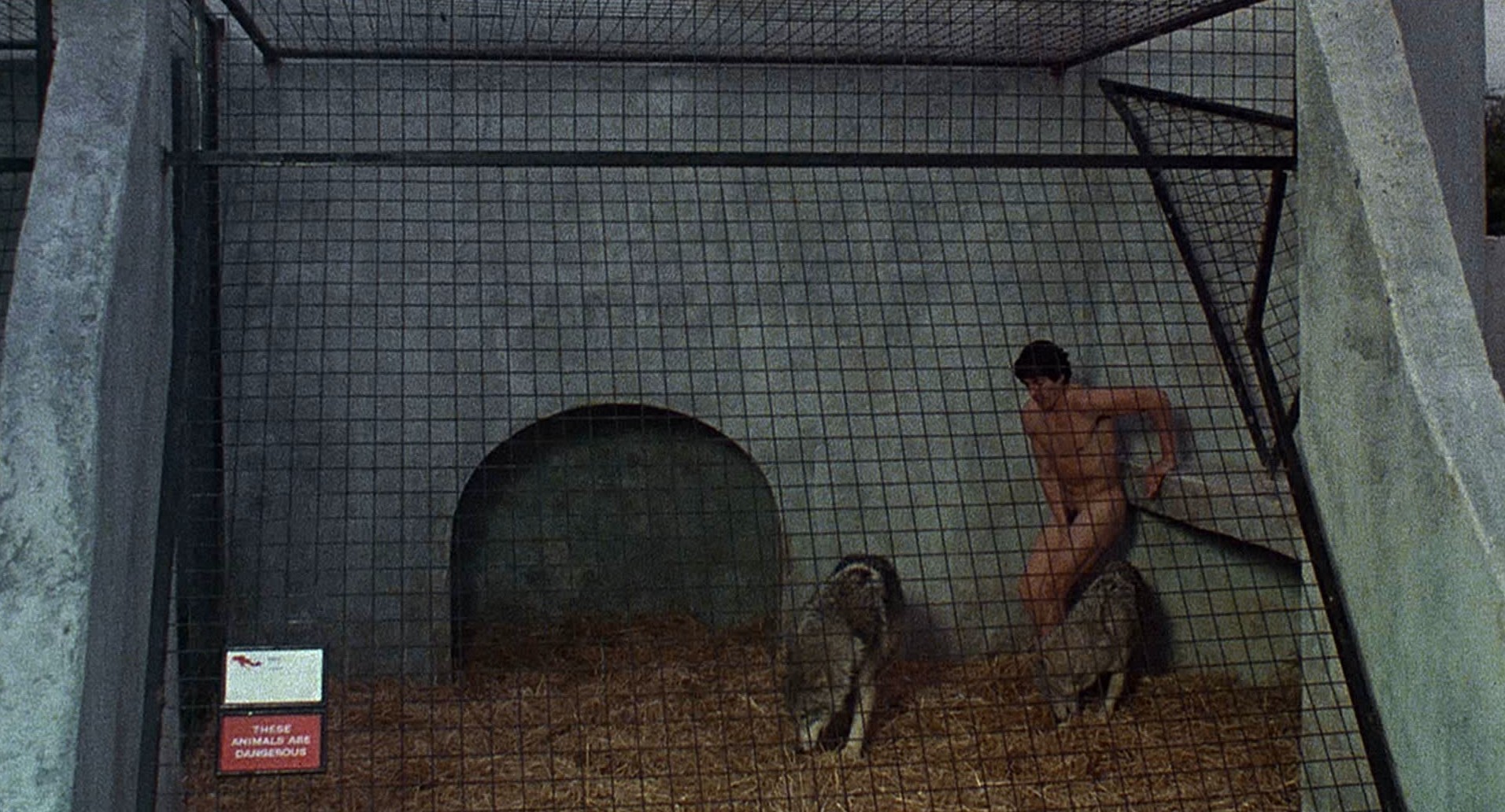 An American Werewolf in London (1981) —  shot,  lighting