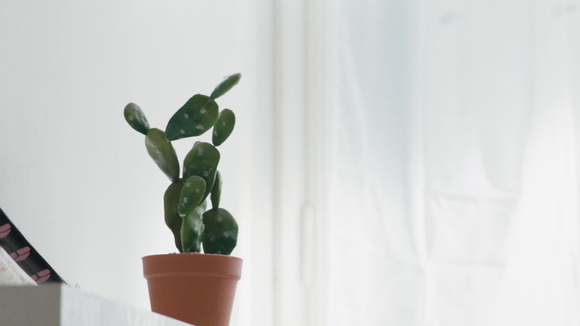 Brutal Heat (2023) —  shot,  lighting