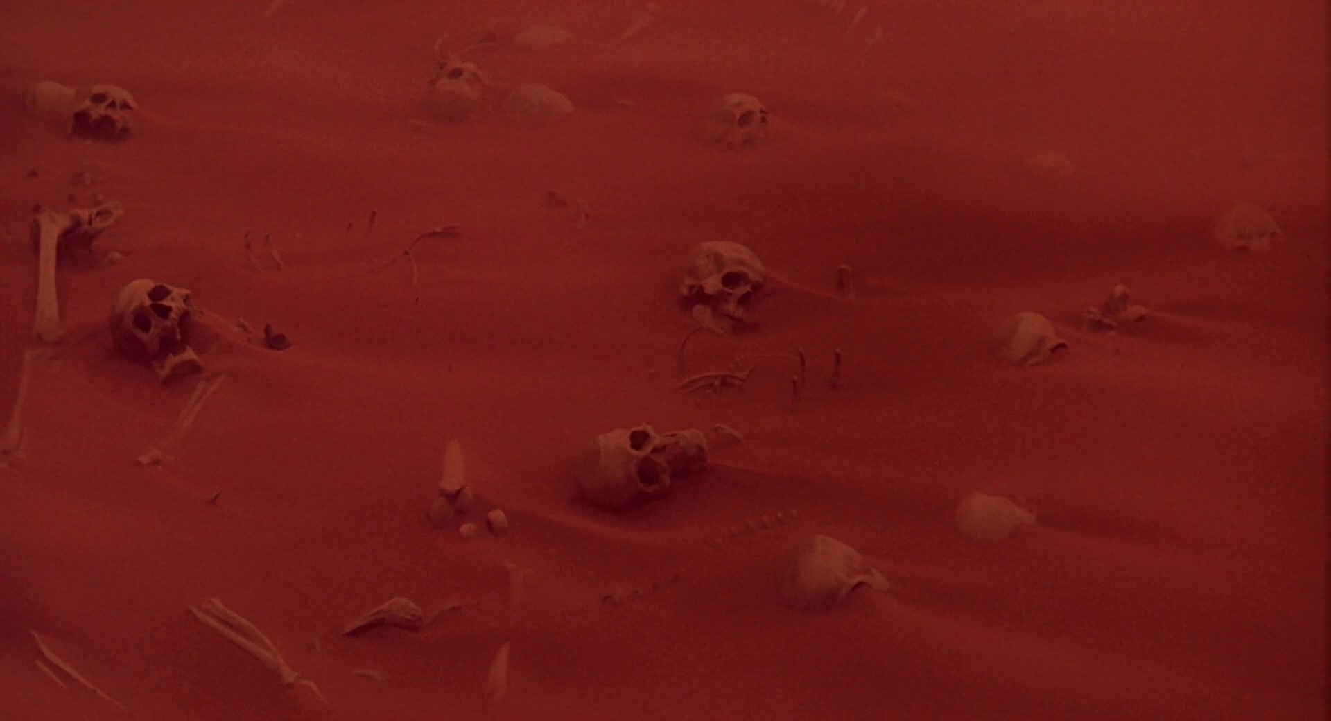 Cat People (1982) —  shot,  lighting