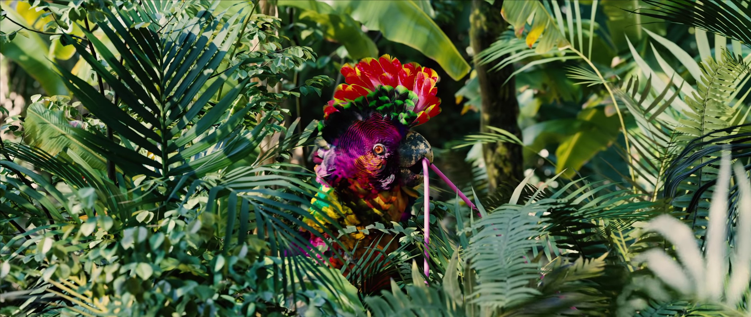 Palaces (2022) —  shot,  lighting