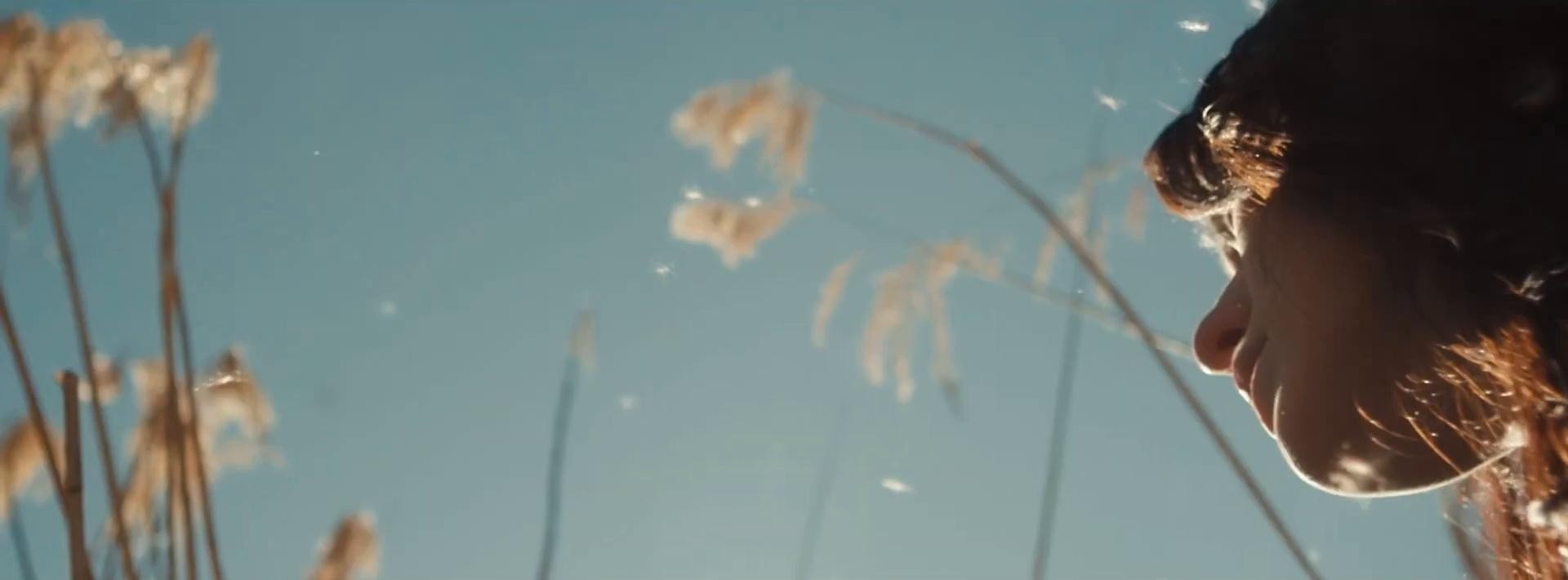 Save the Planet _ Dodge Charger Daytona (2024) —  shot,  lighting