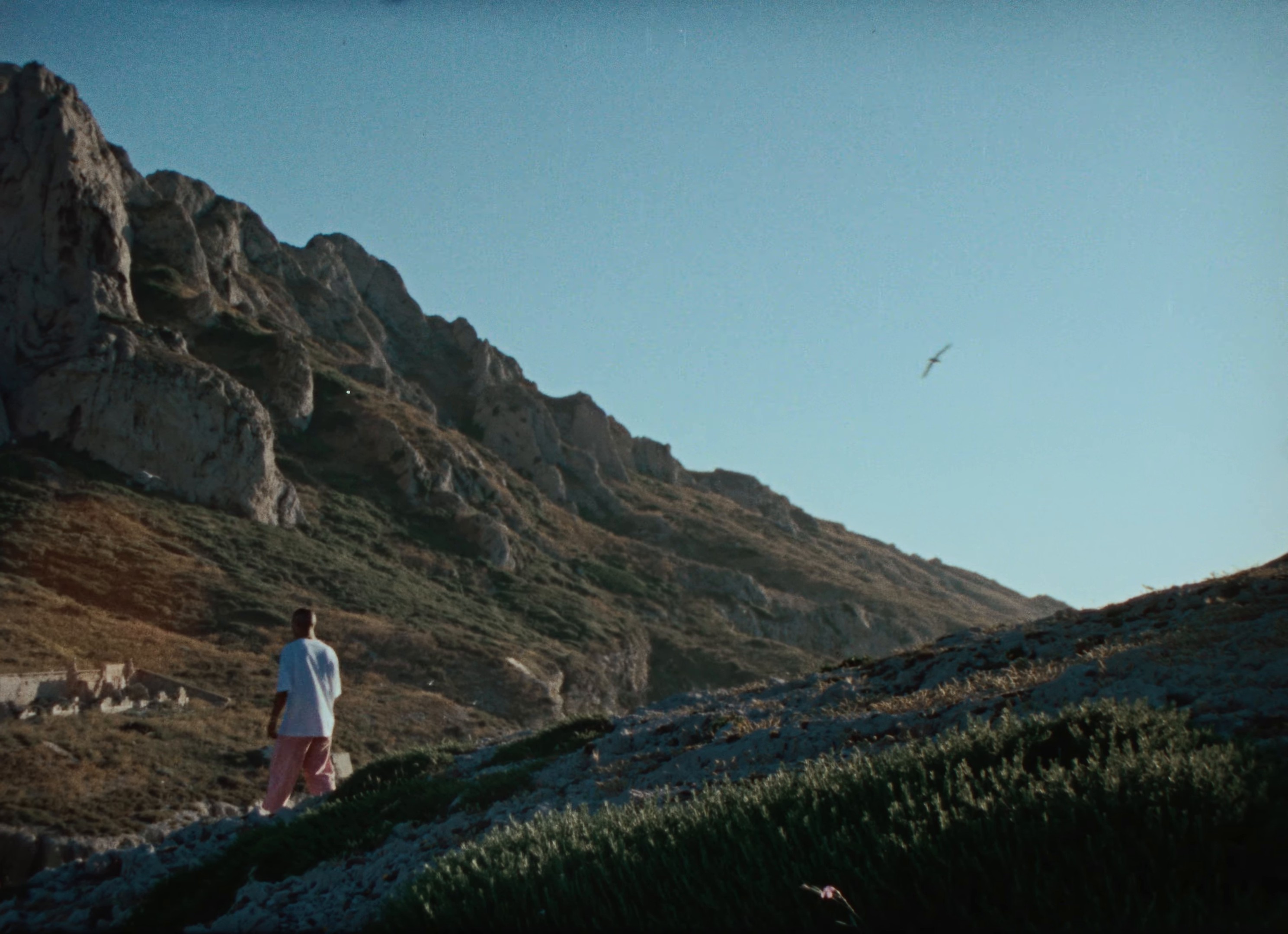 ANGEL (2024) —  shot,  lighting