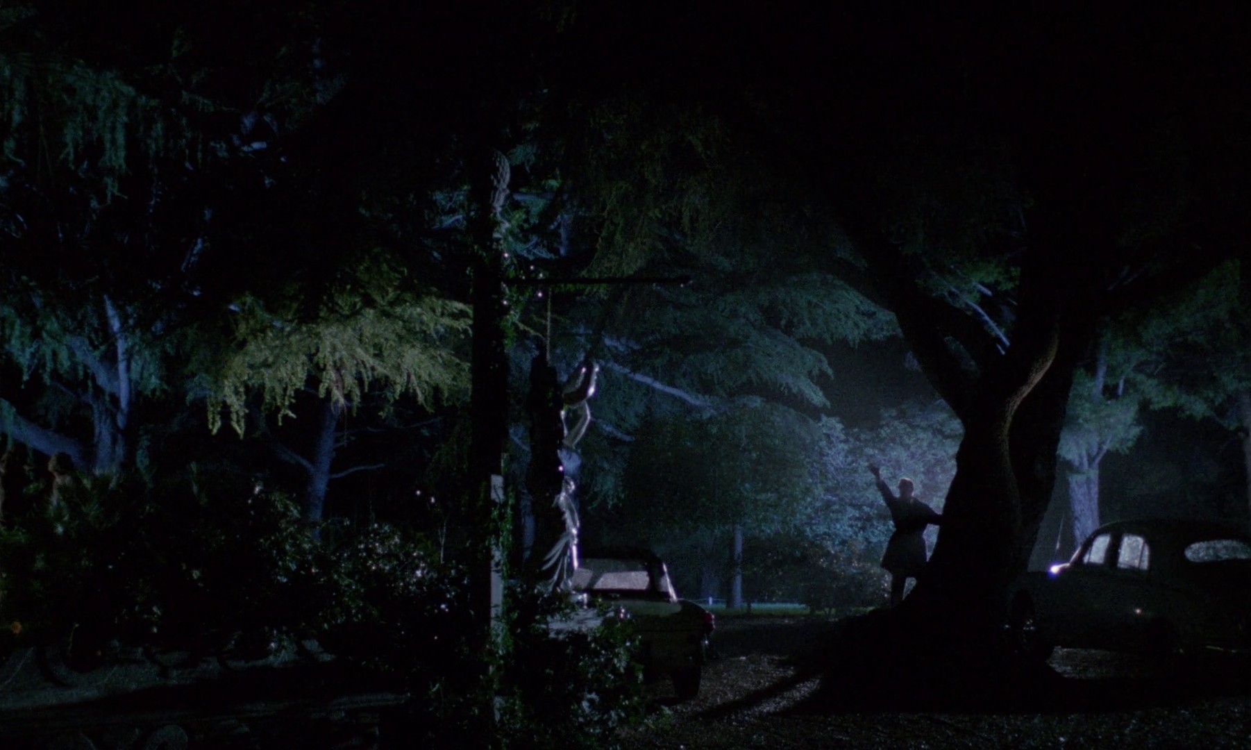 Blood and Black Lace (1964) —  shot,  lighting