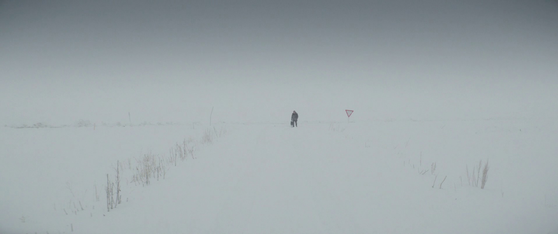 About Dry Grasses (2024) —  shot,  lighting