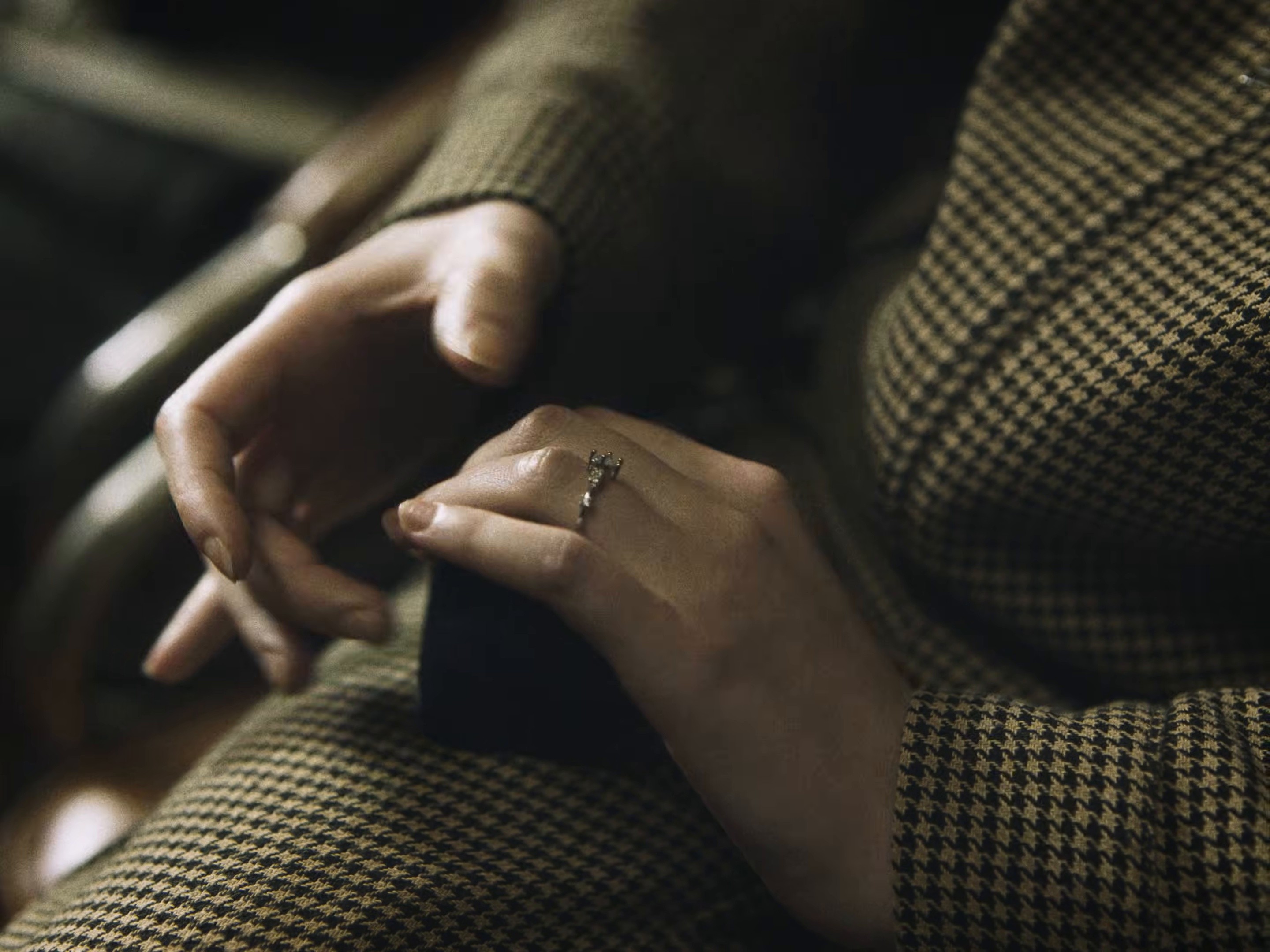 MI GATA (2026) —  shot,  lighting