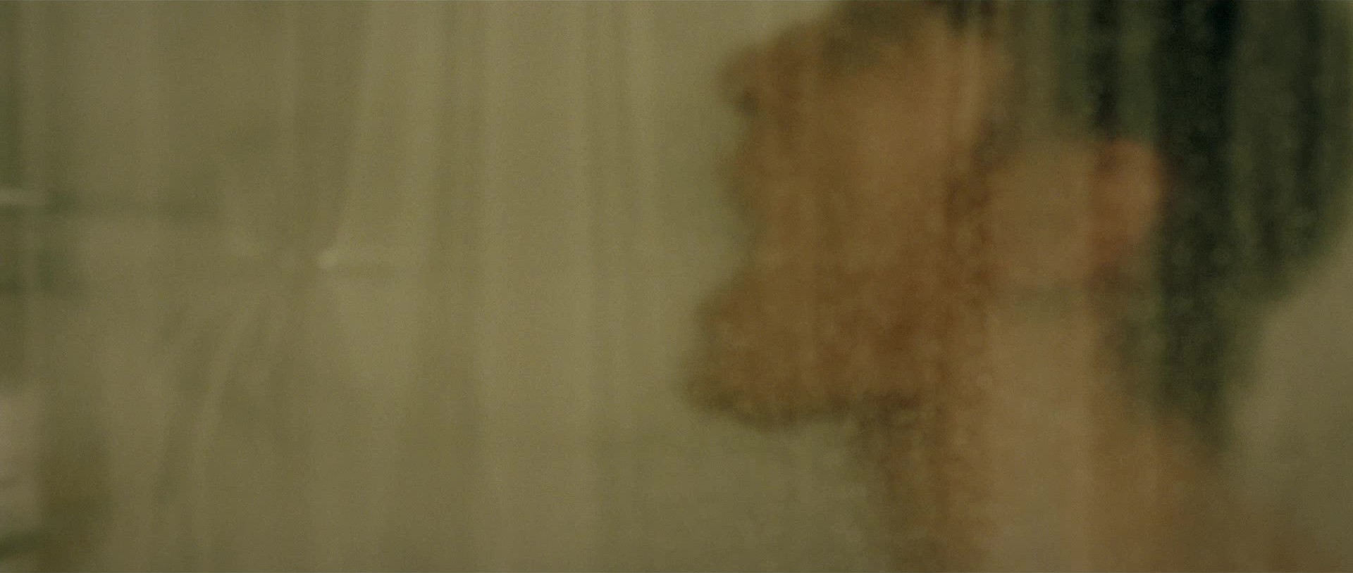 Shame (2011) —  shot,  lighting