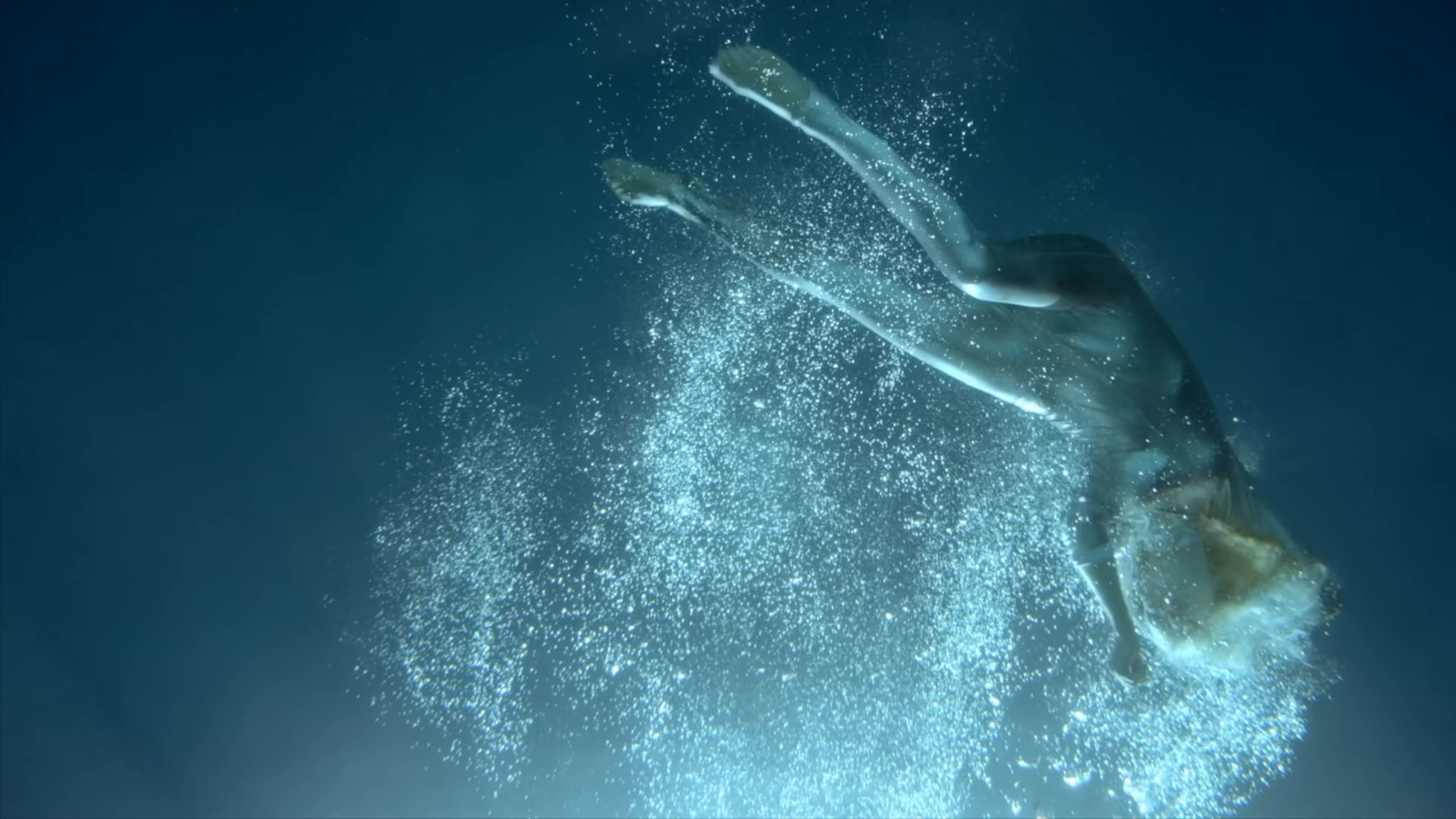 DIVE (2025) —  shot,  lighting