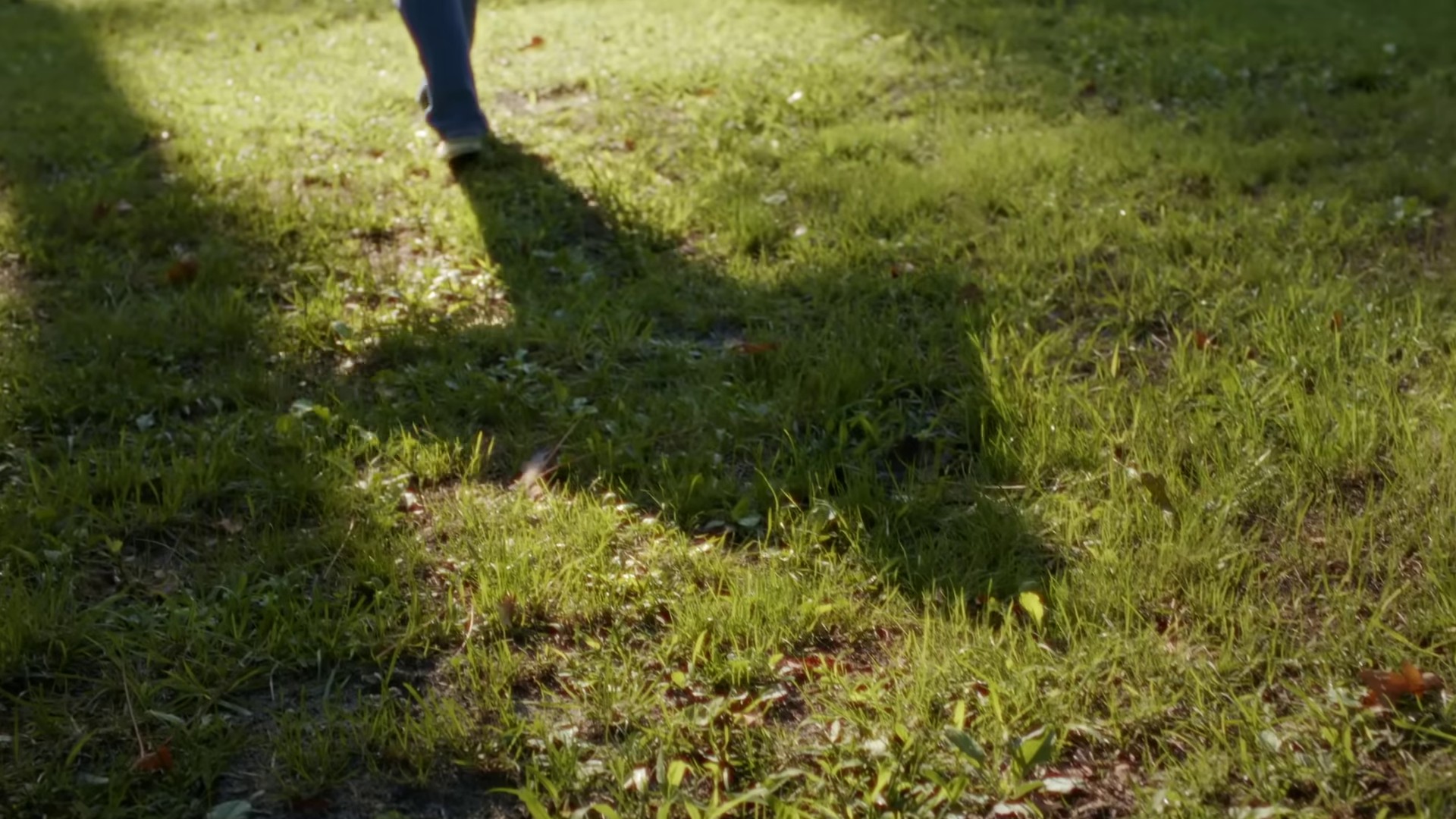 24 (2022) —  shot,  lighting