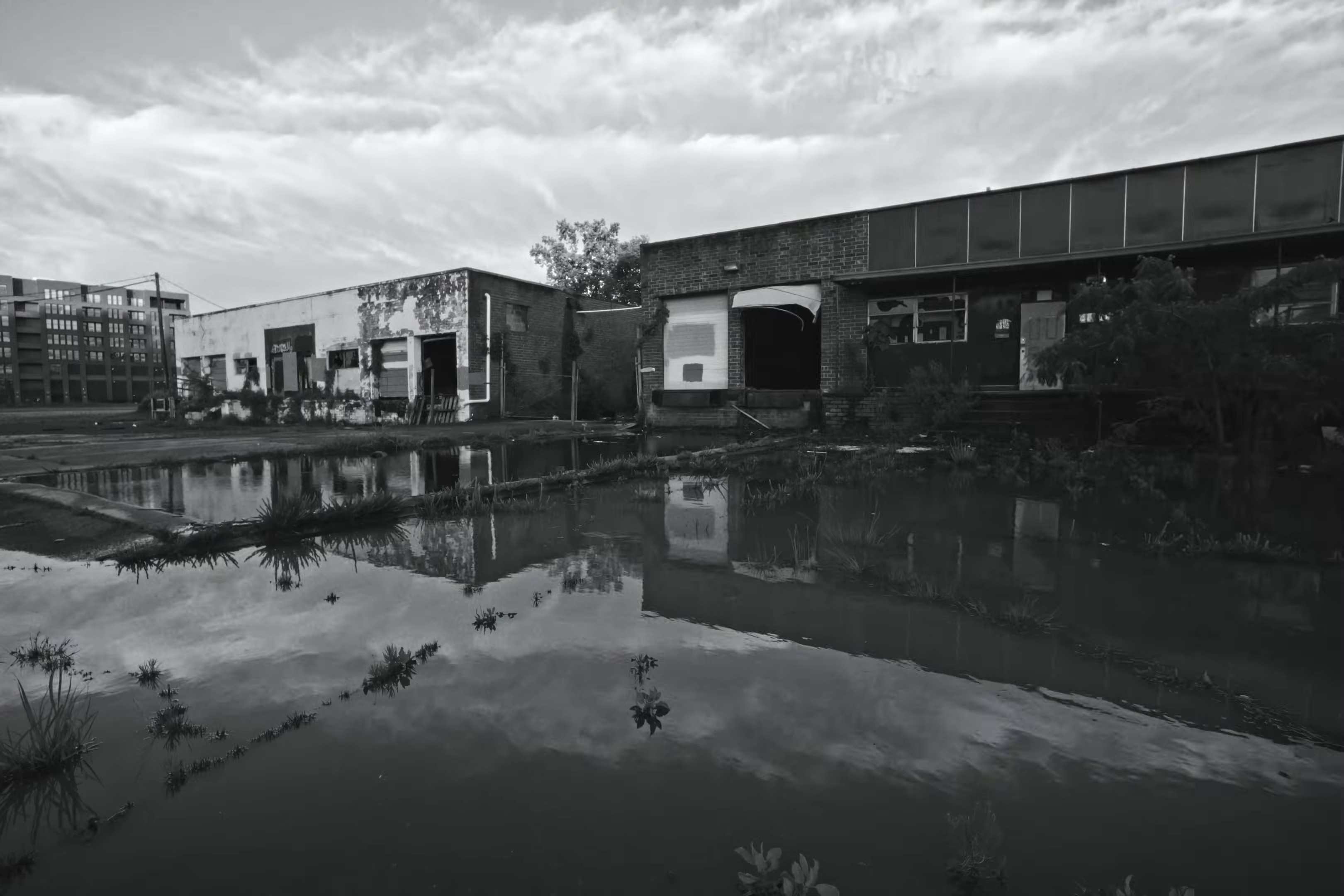 Jammers Anonymous (2025) —  shot,  lighting