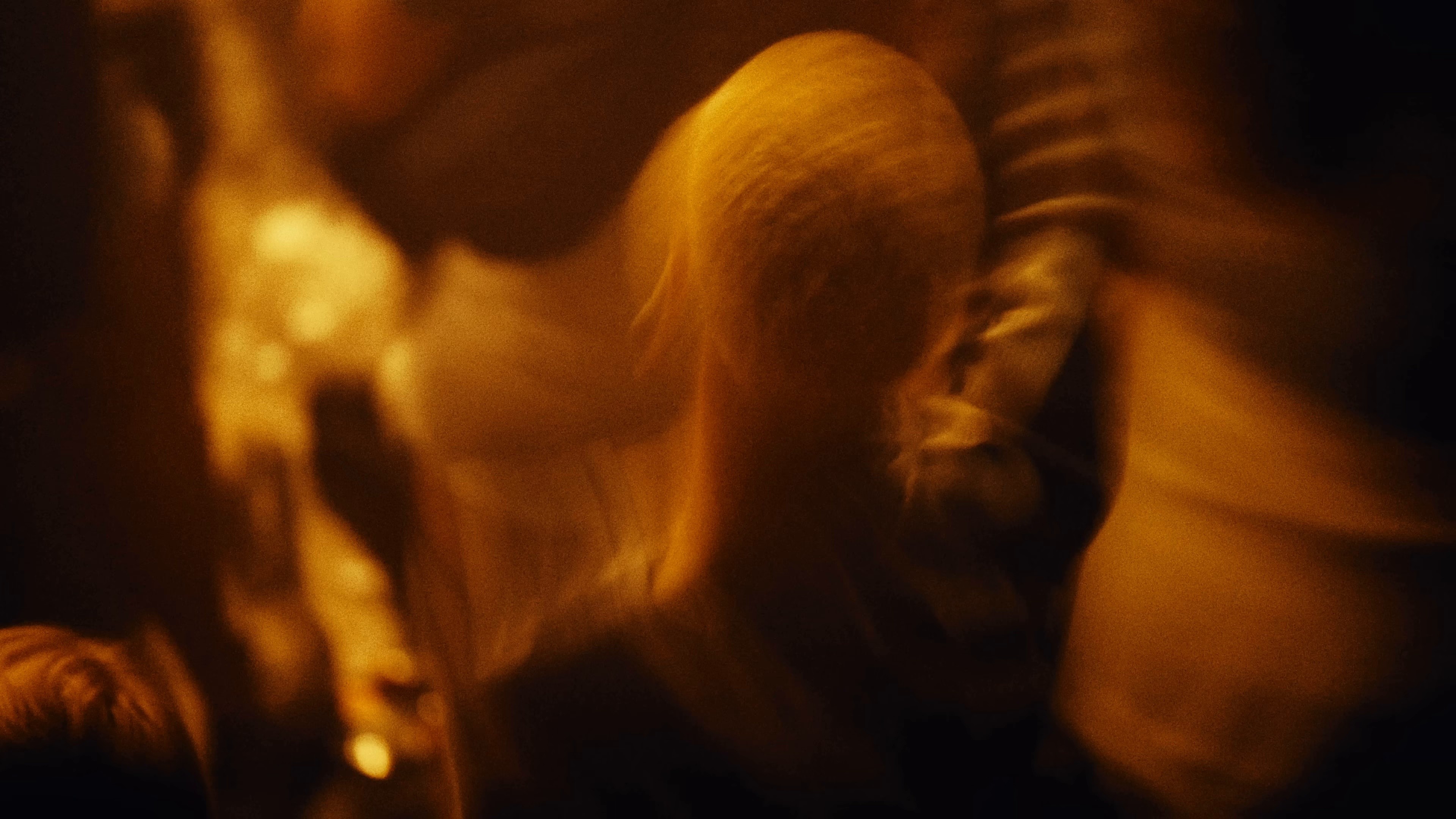 Push The Tempo (2024) —  shot,  lighting