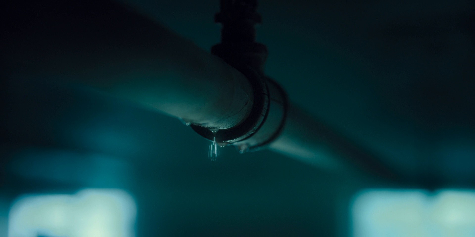 The Imposter (2024) —  shot,  lighting