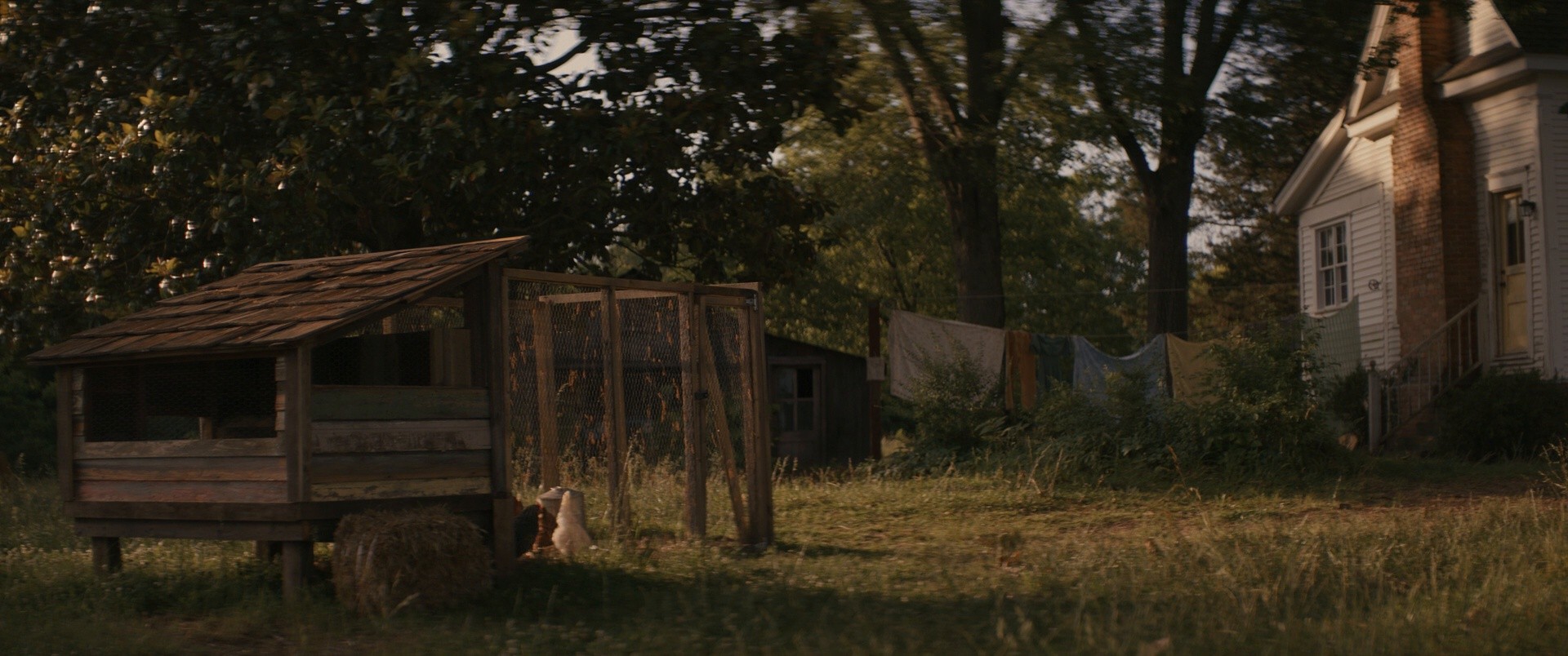 The Woman in the Yard (2025) —  shot,  lighting