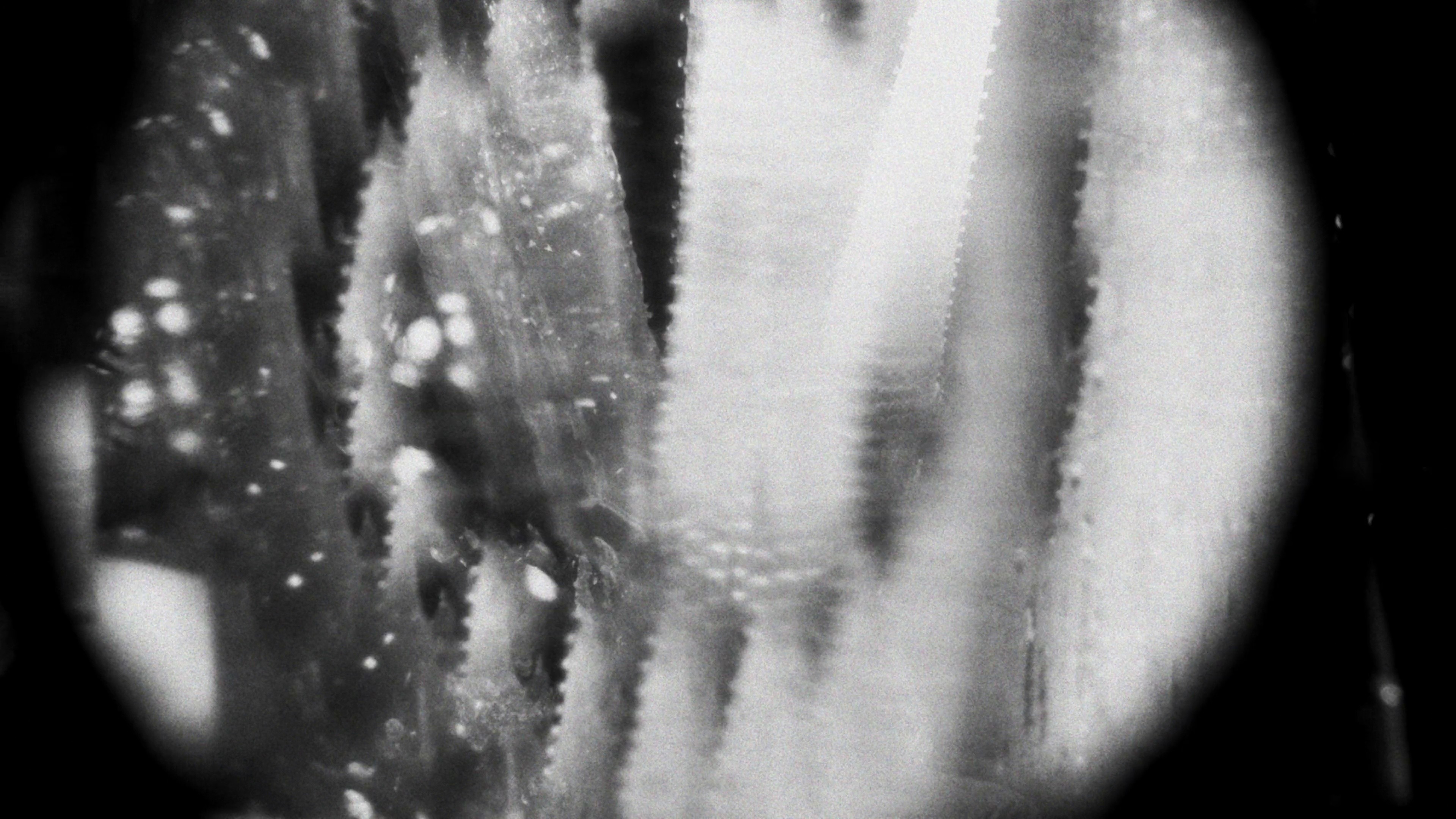 Three Cycles (2026) —  shot,  lighting