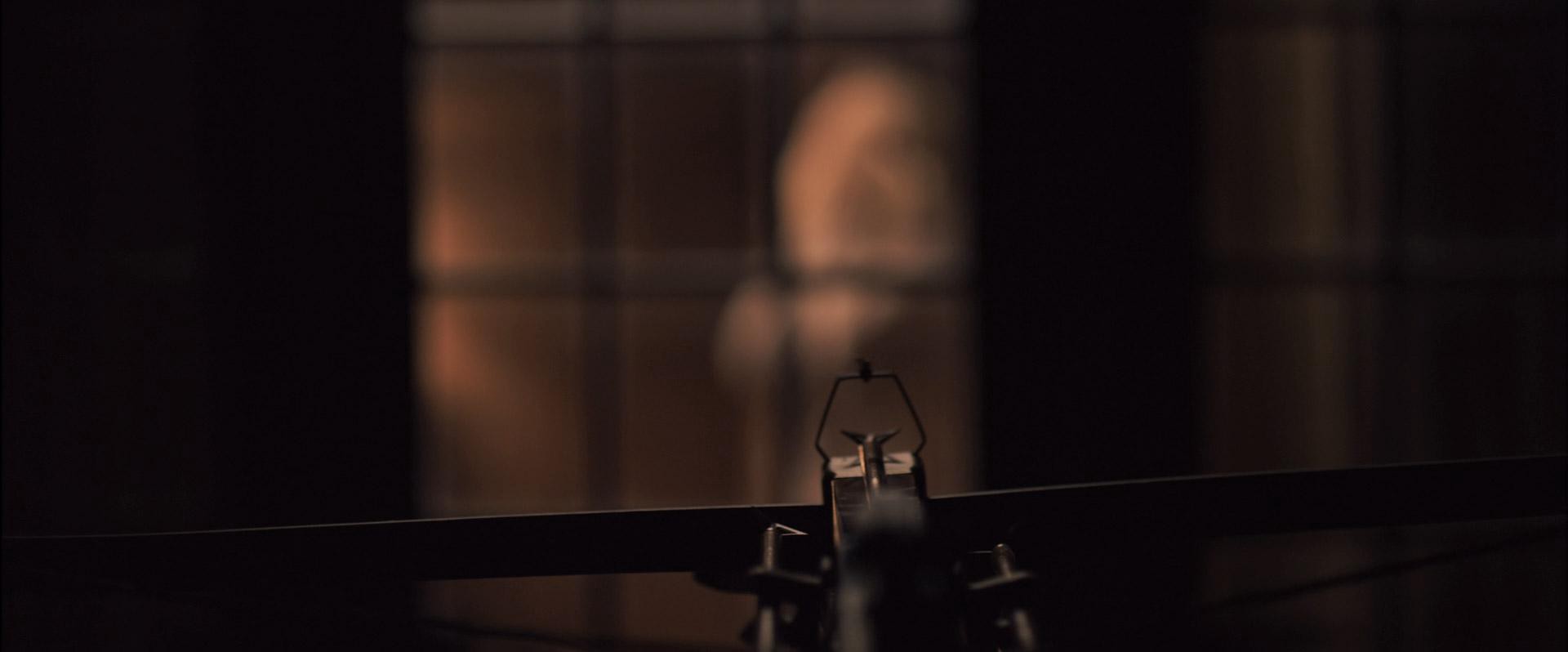 You're Next (2011) —  shot,  lighting