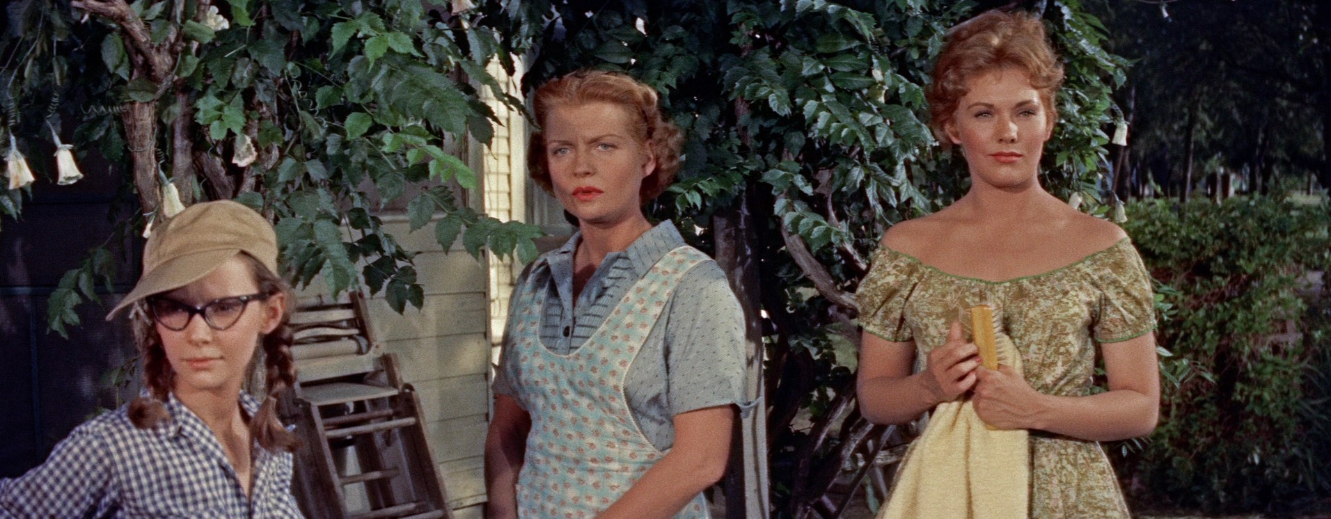 Picnic (1956) —  shot,  lighting