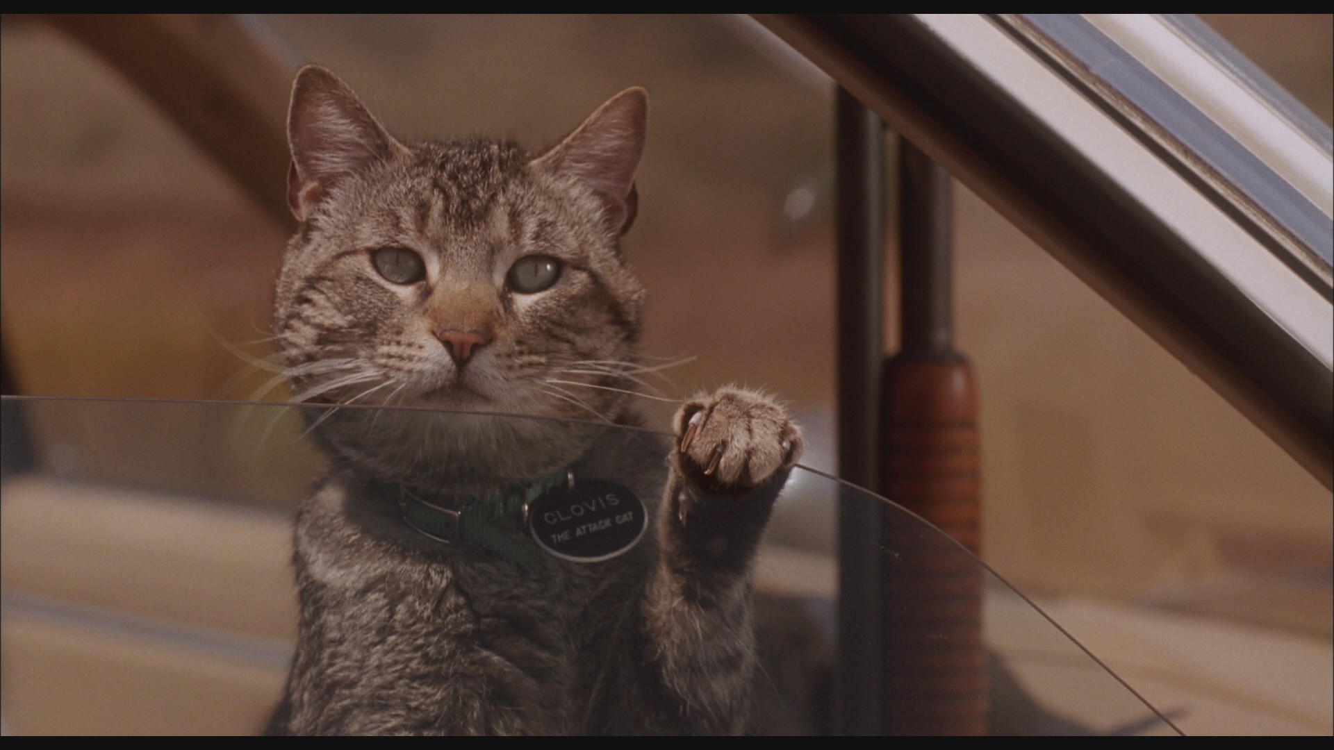 Sleepwalkers (1992) —  shot,  lighting