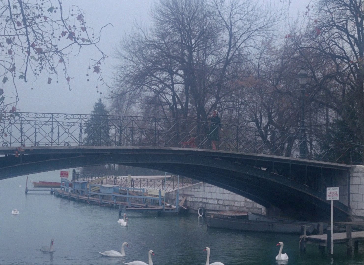 Dear Louise (1972) —  shot,  lighting