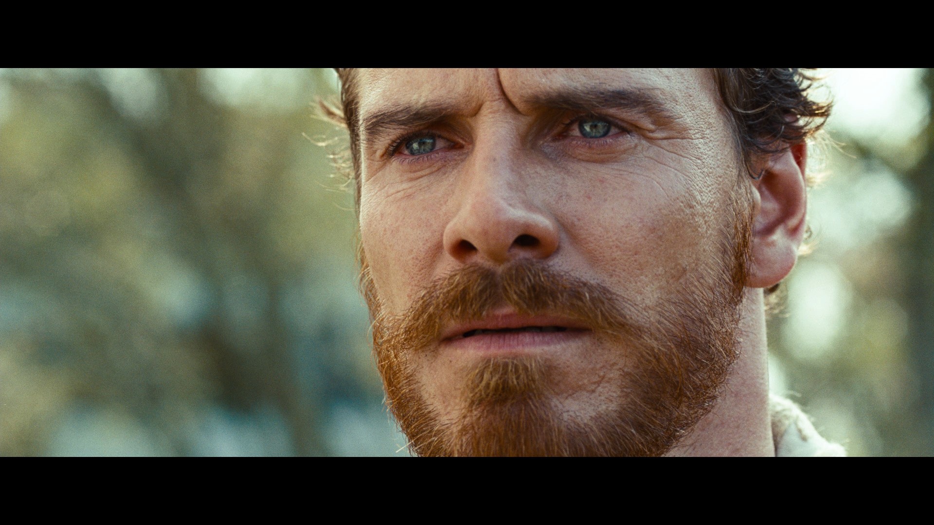 12 Years a Slave (2013) —  shot,  lighting