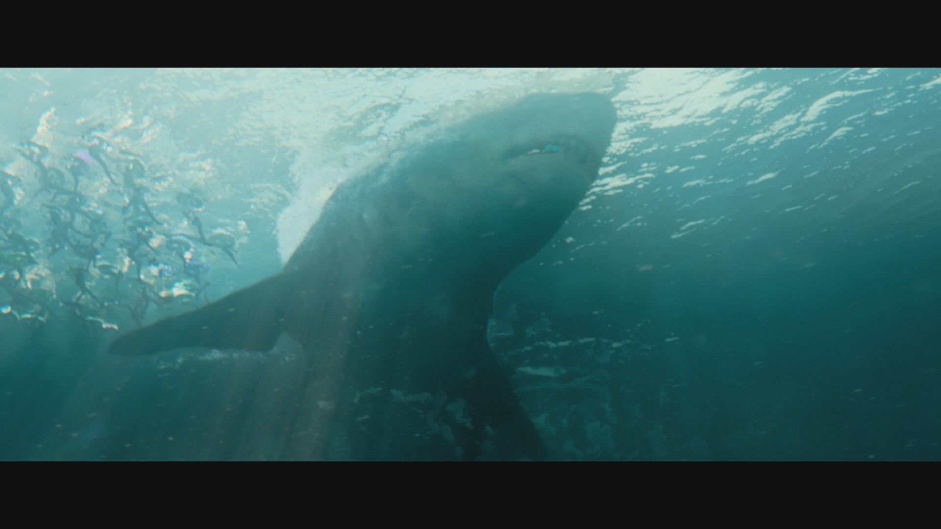 The Meg (2018) —  shot,  lighting