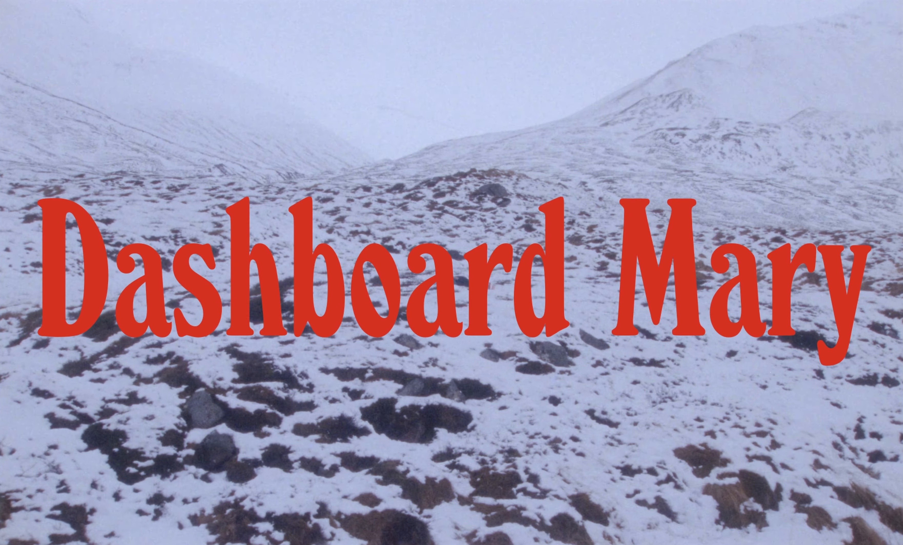 Dashboard Mary (2026) —  shot,  lighting