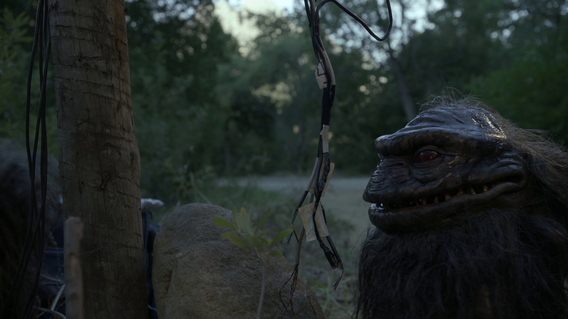 Critters Attack! (2019) —  shot,  lighting