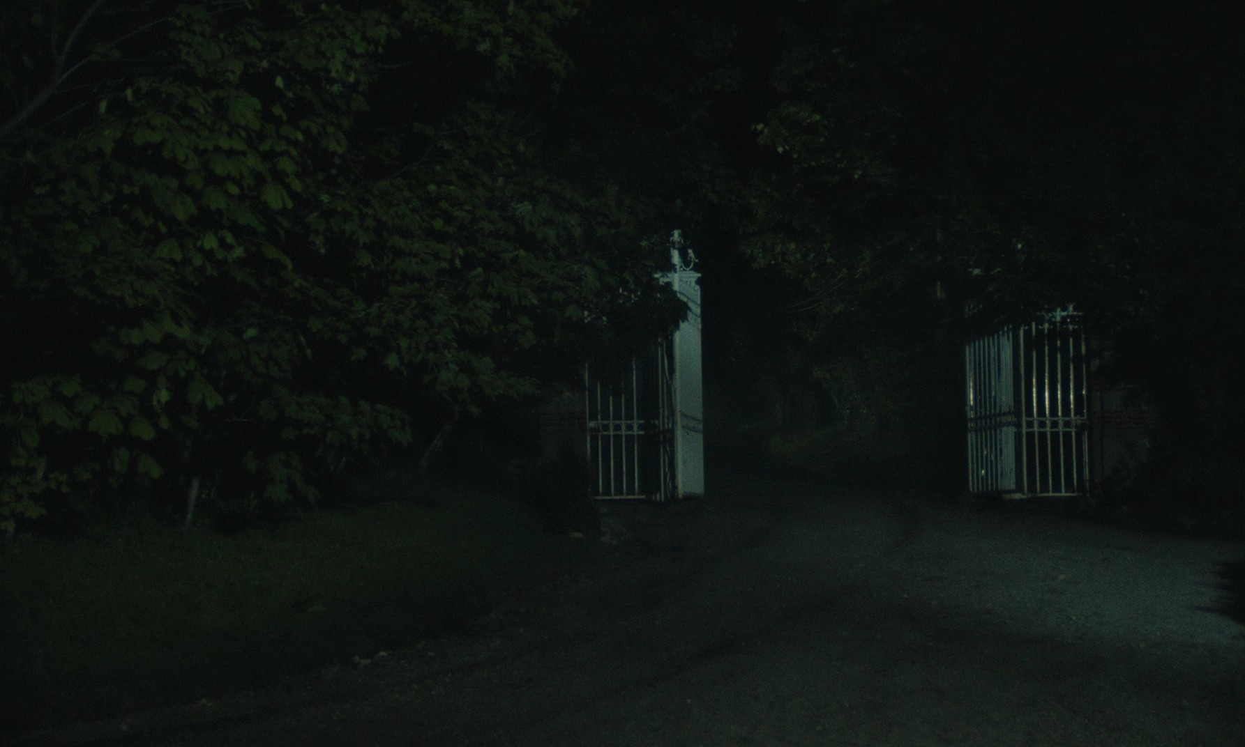 The Twin (1984) —  shot,  lighting