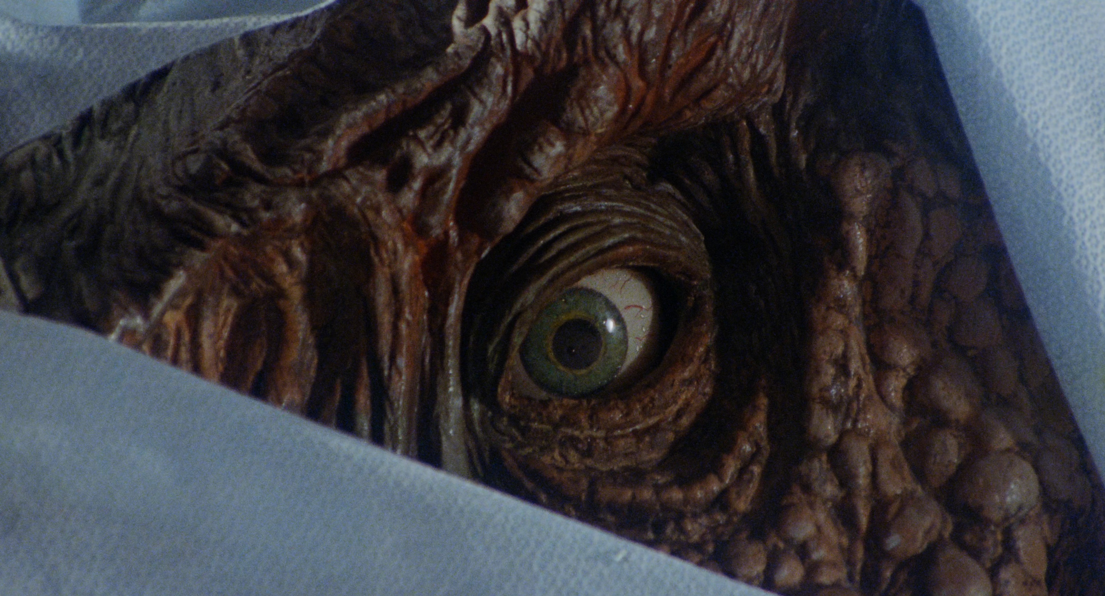 Tammy and the T-Rex (1994) —  shot,  lighting