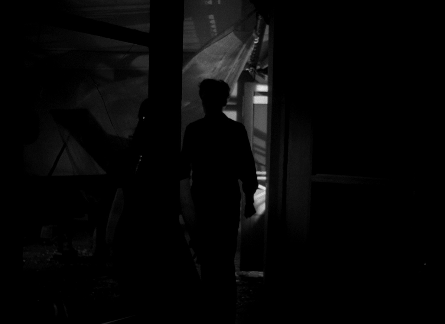 The Cranes Are Flying (1957) —  shot,  lighting