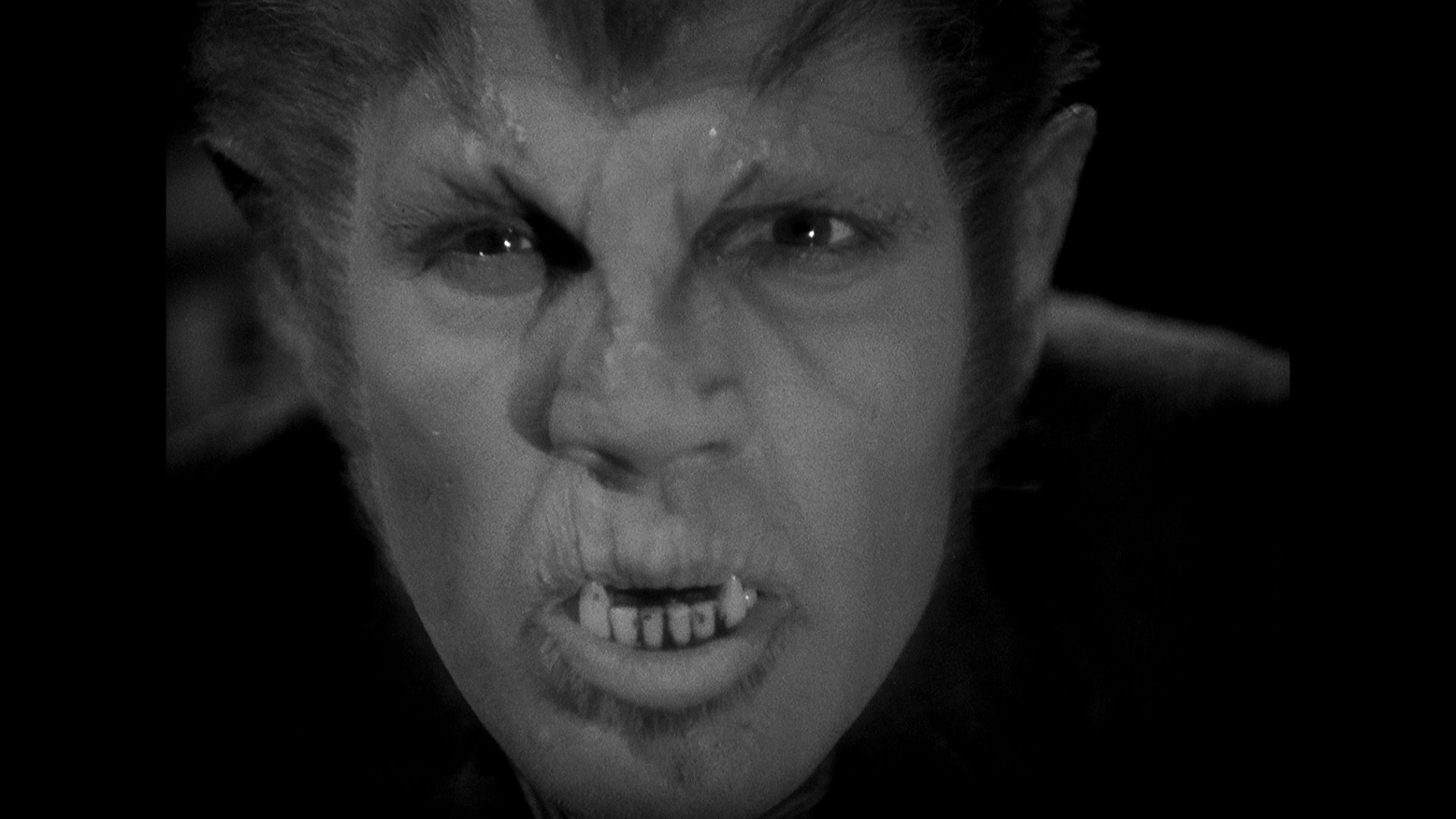 Werewolf of London (1935) —  shot,  lighting