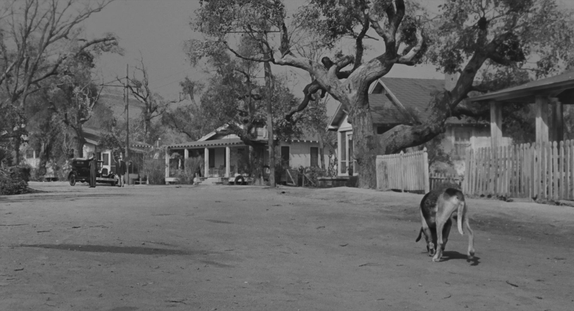 To Kill a Mockingbird (1962) —  shot,  lighting