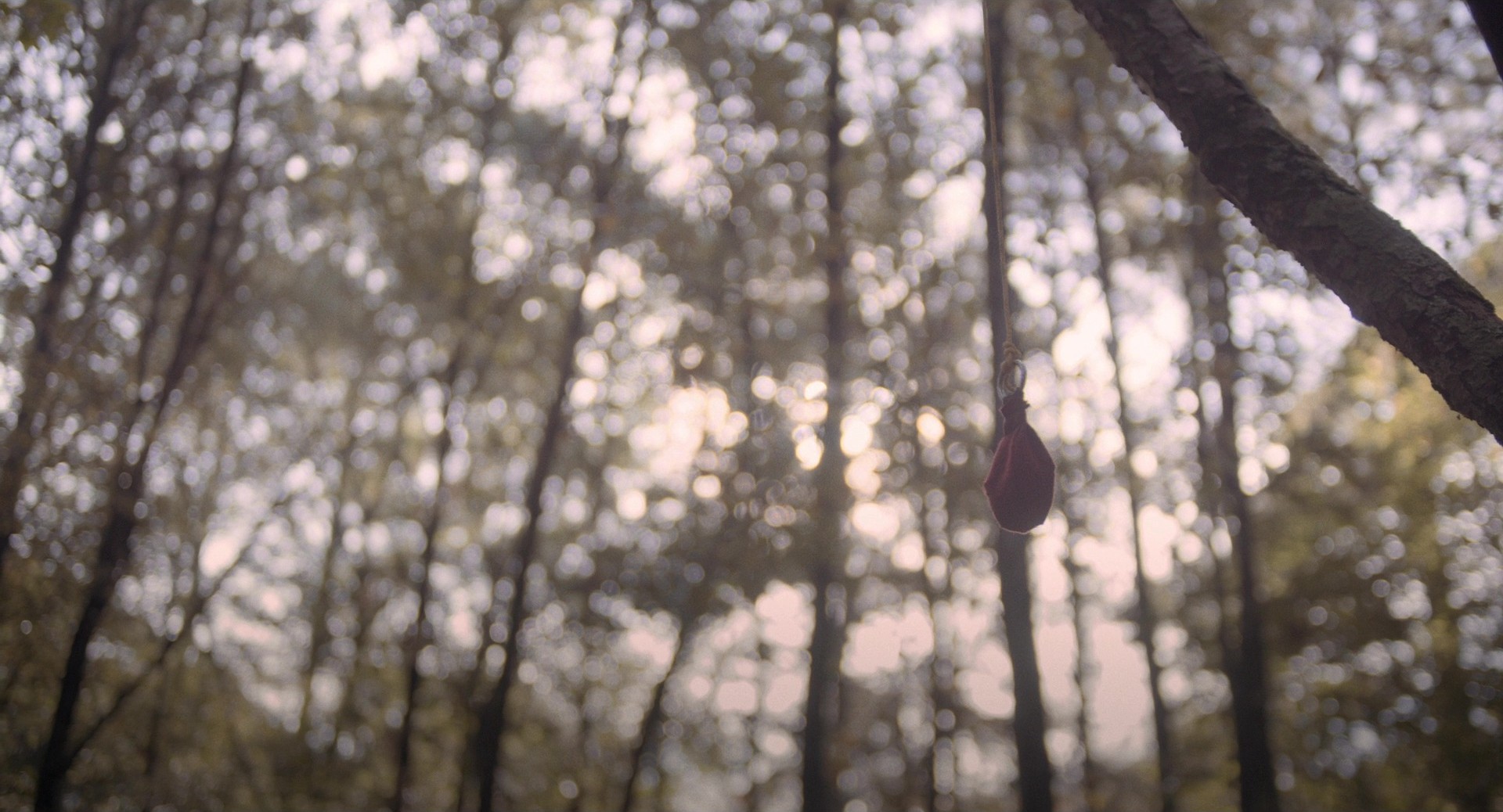 Just Mercy (2019) —  shot,  lighting