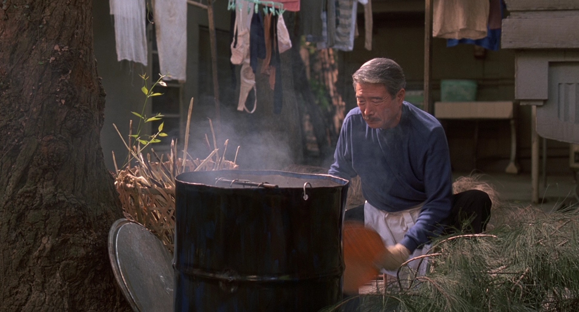 Eat Drink Man Woman (1994) —  shot,  lighting