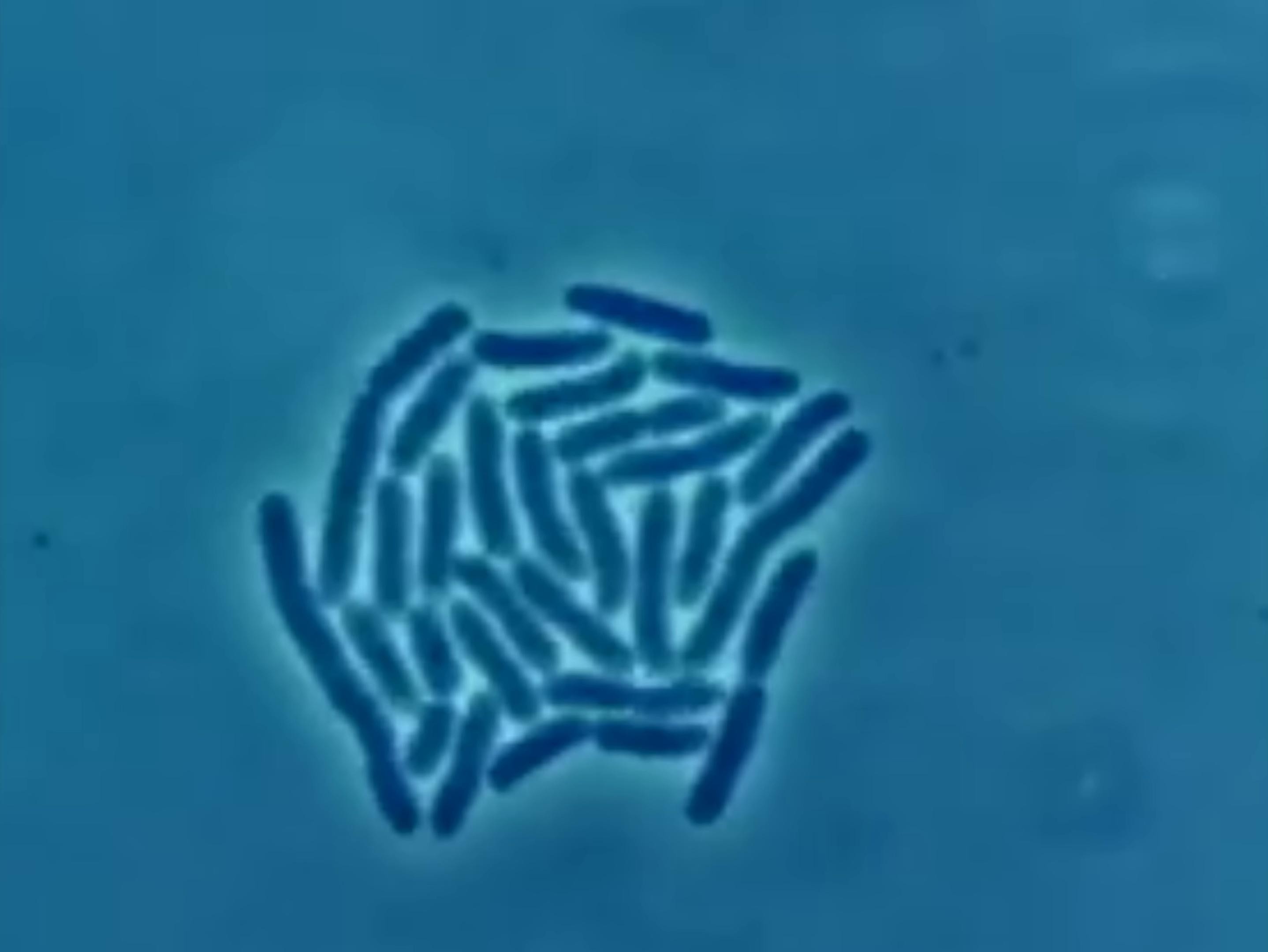 Ipocrita fratello (2025) —  shot,  lighting
