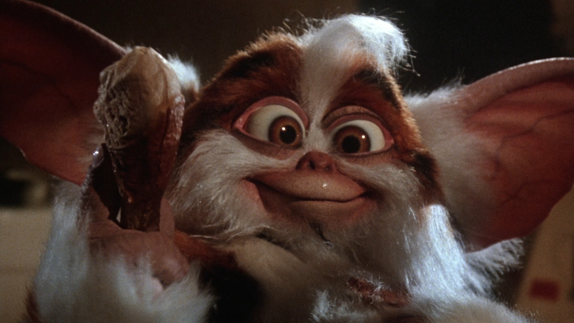 Gremlins 2: The New Batch (1990) —  shot,  lighting