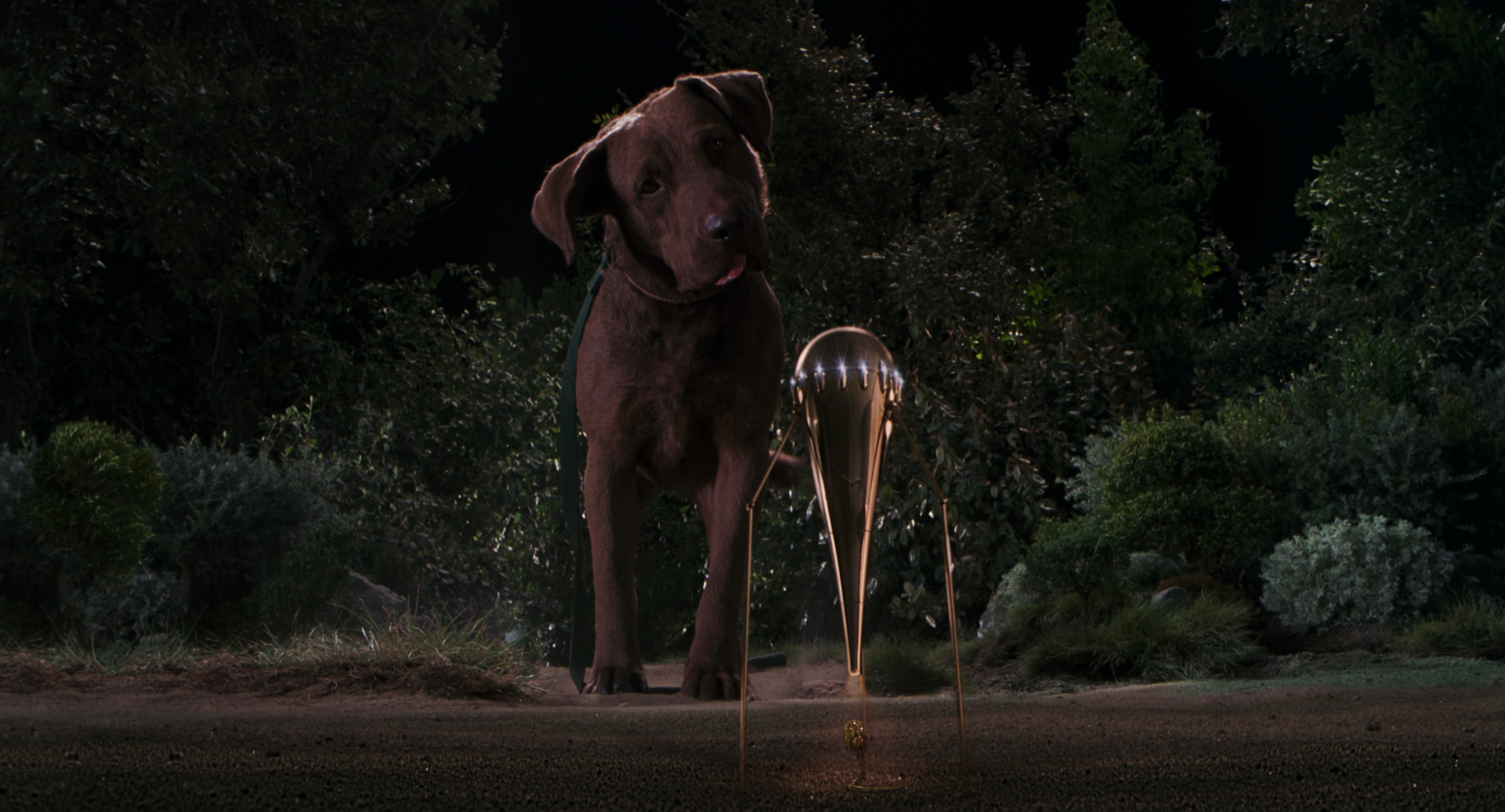 Men in Black II (2002) —  shot,  lighting